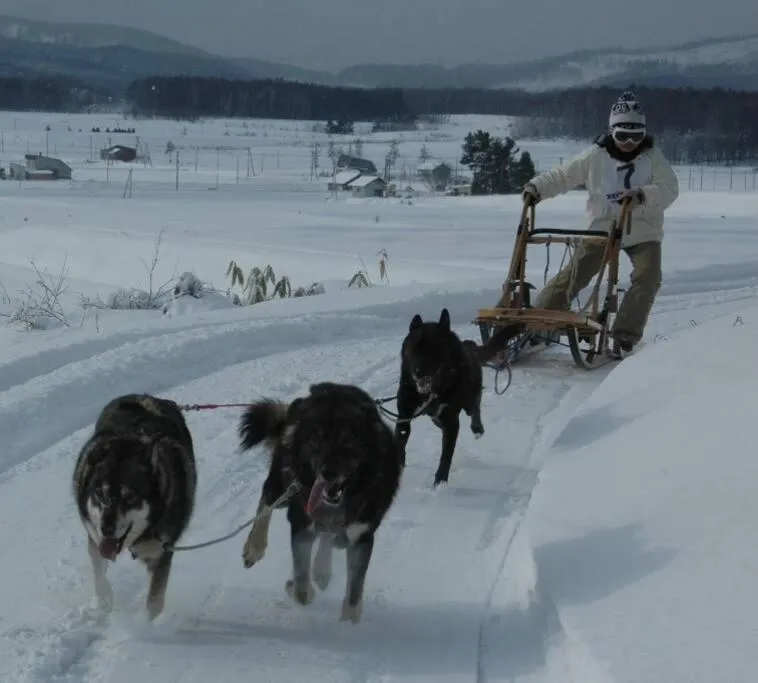 Nearby landmark in DOWNTOWN　TOKO11