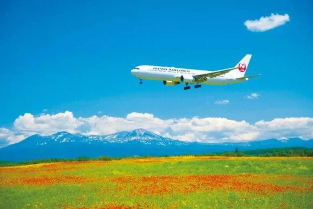 Nearby landmark in GUESTHOUSE CHIYOGAOKA