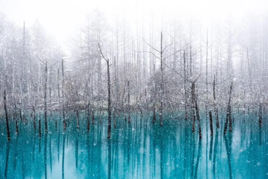 Nearby landmark in GUESTHOUSE CHIYOGAOKA