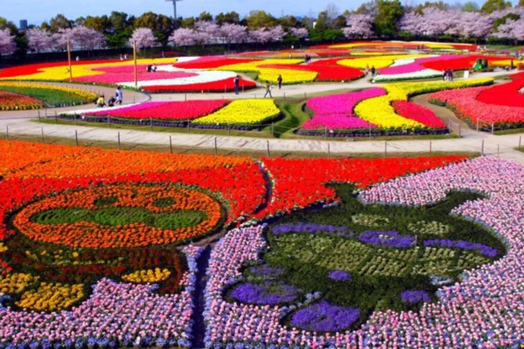 Nearby landmark in GUESTHOUSE CHIYOGAOKA