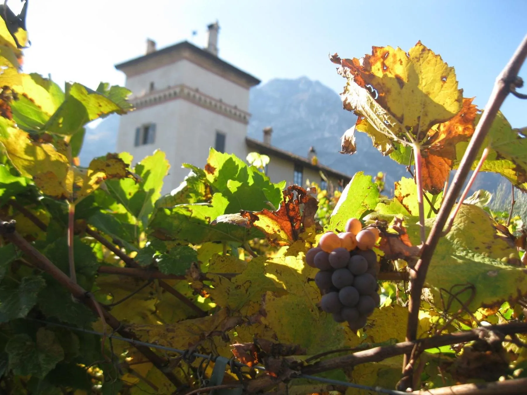 Bird's eye view in Residence La Colombera