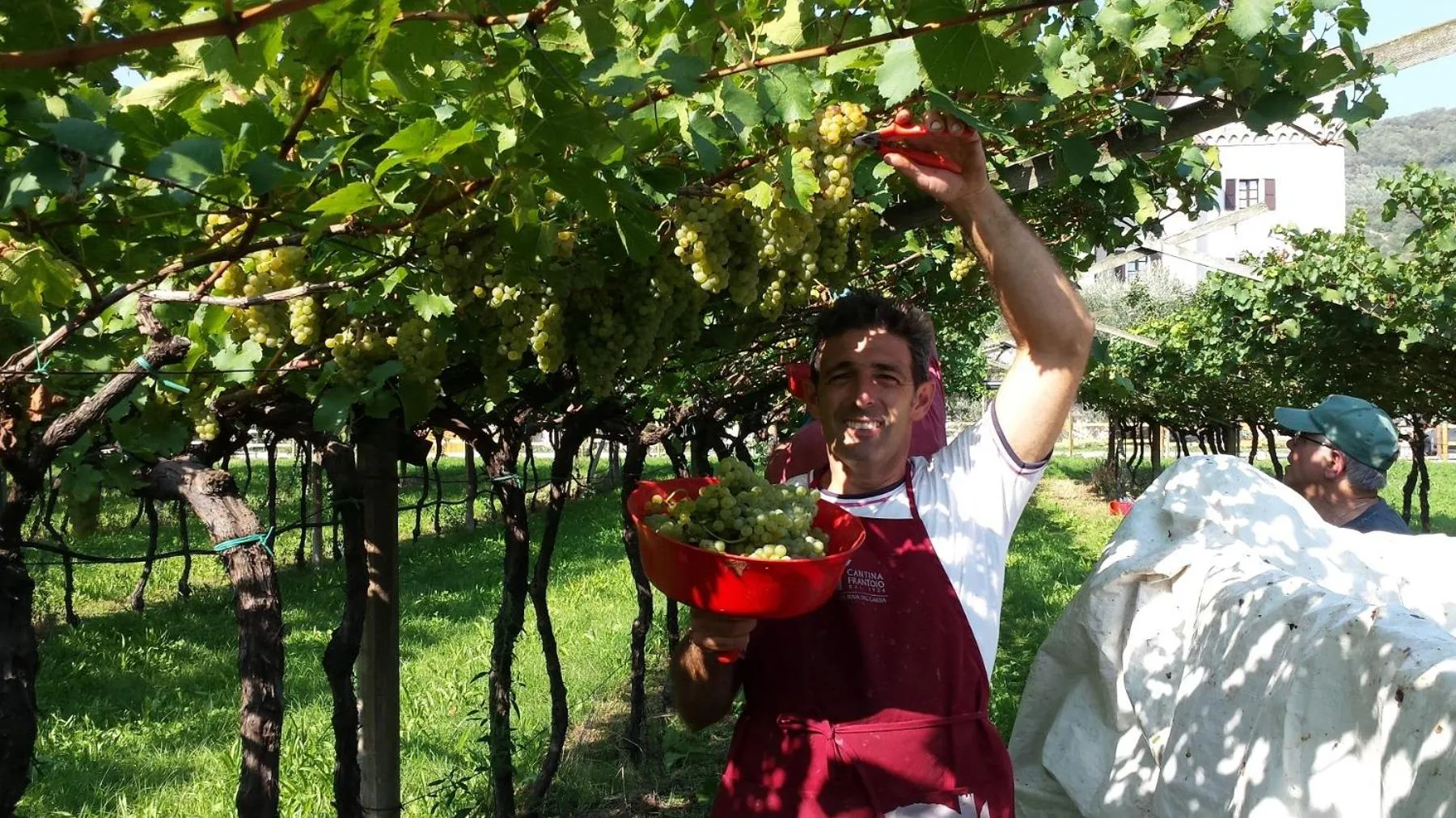 Natural landscape in Residence La Colombera