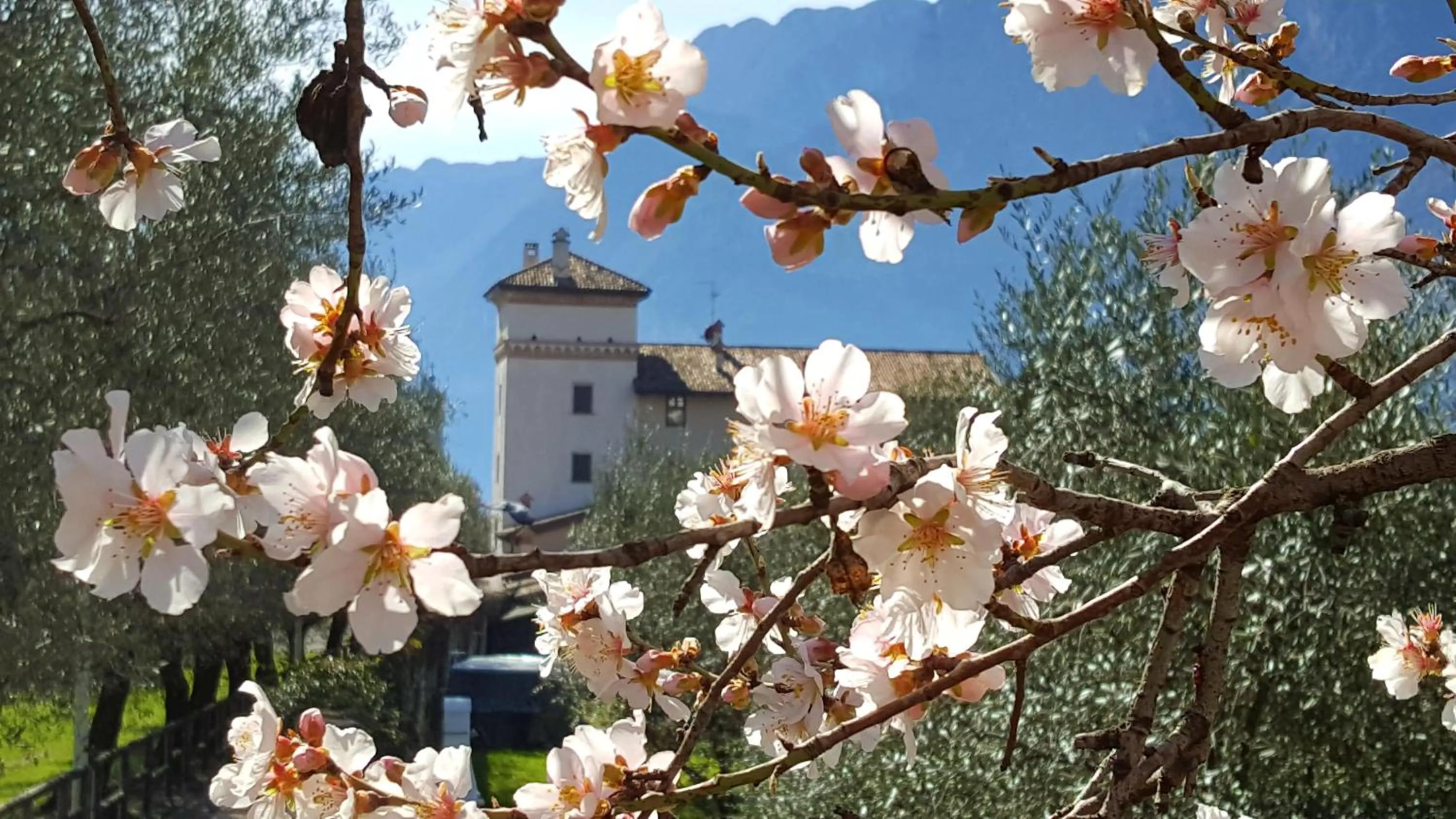 Property building in Residence La Colombera