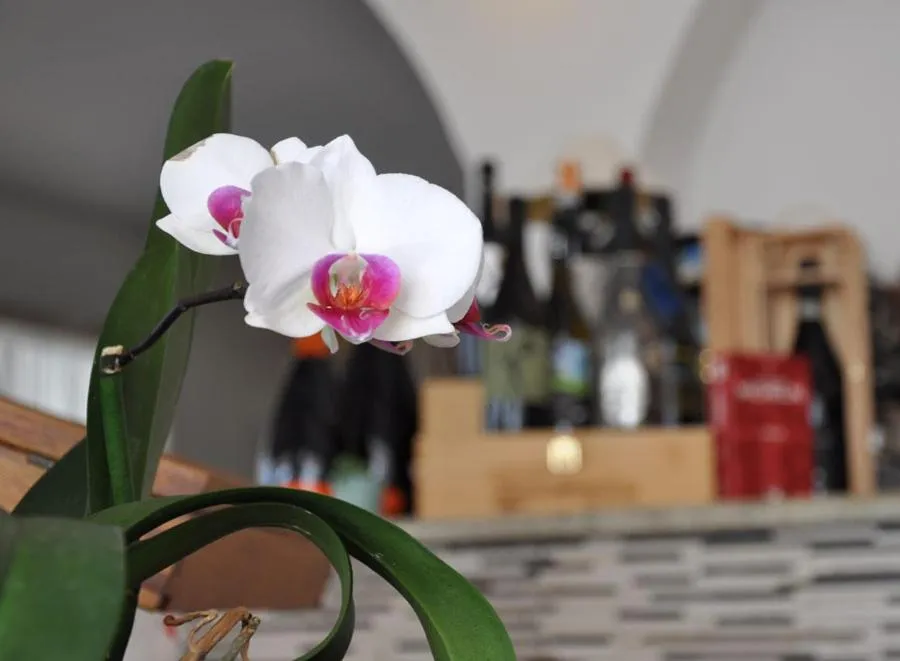 Property building in Hotel Torre