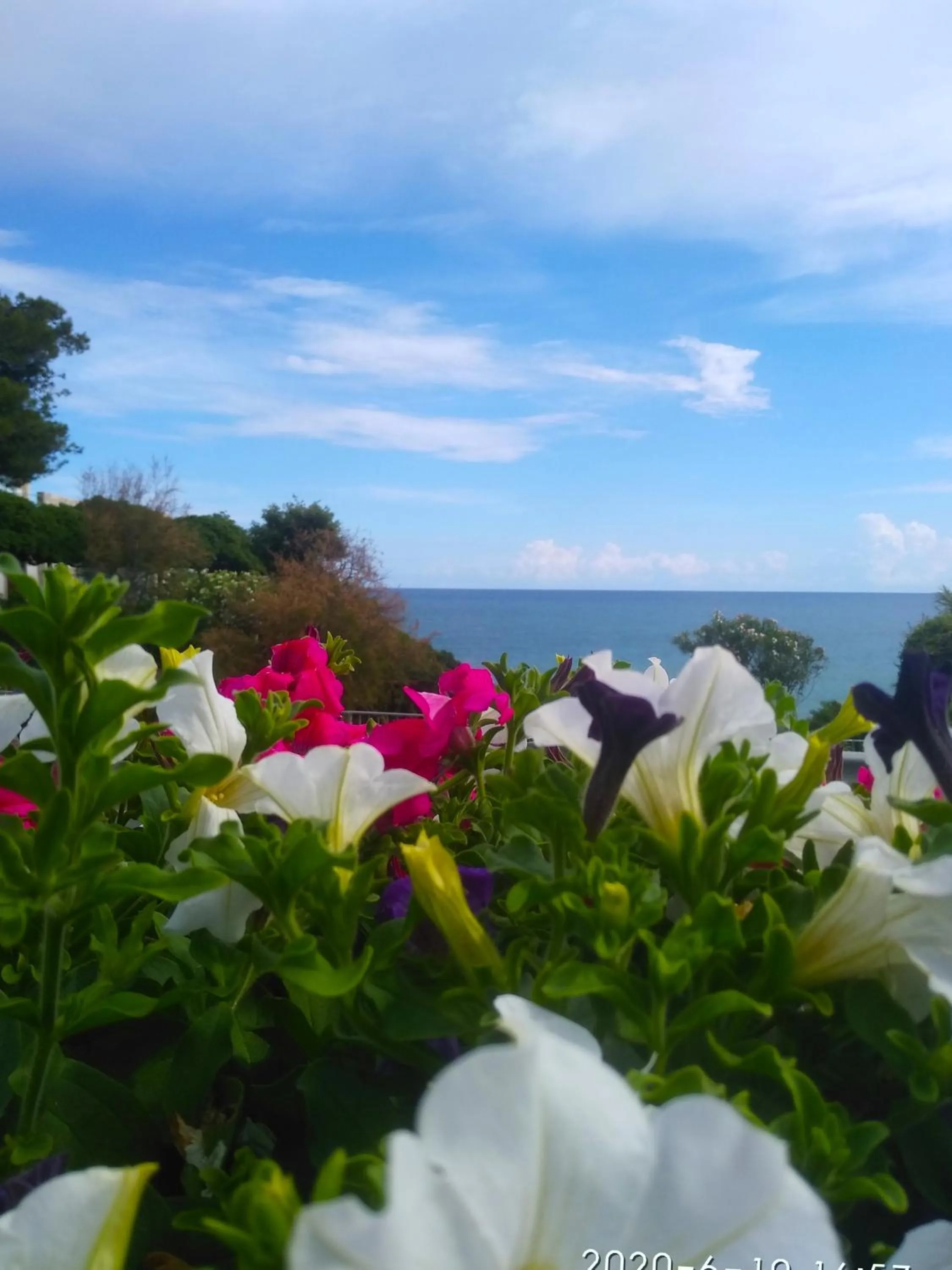 Natural landscape in Hotel Torre