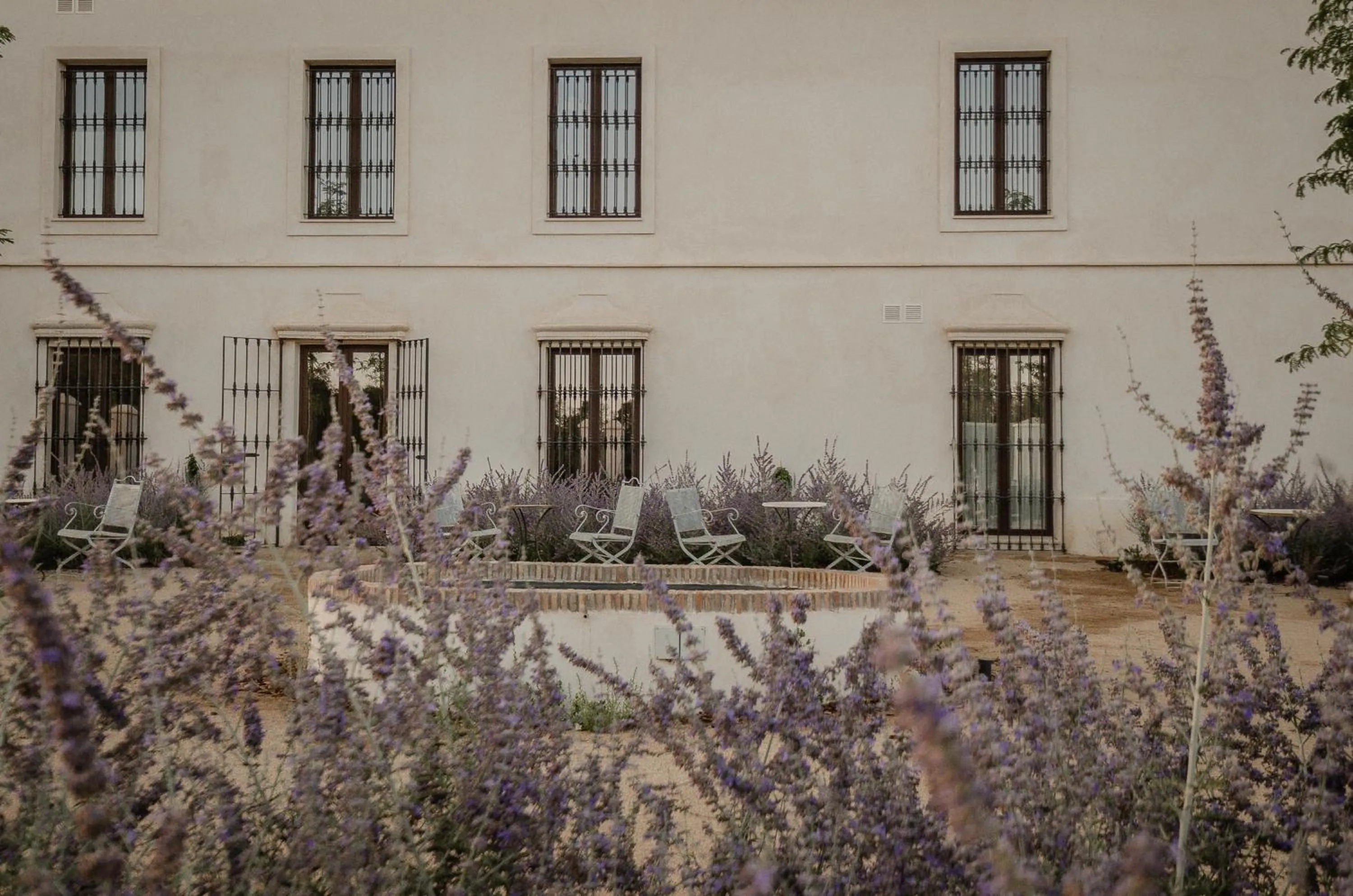 Garden in La Dehesa de Don Pedro