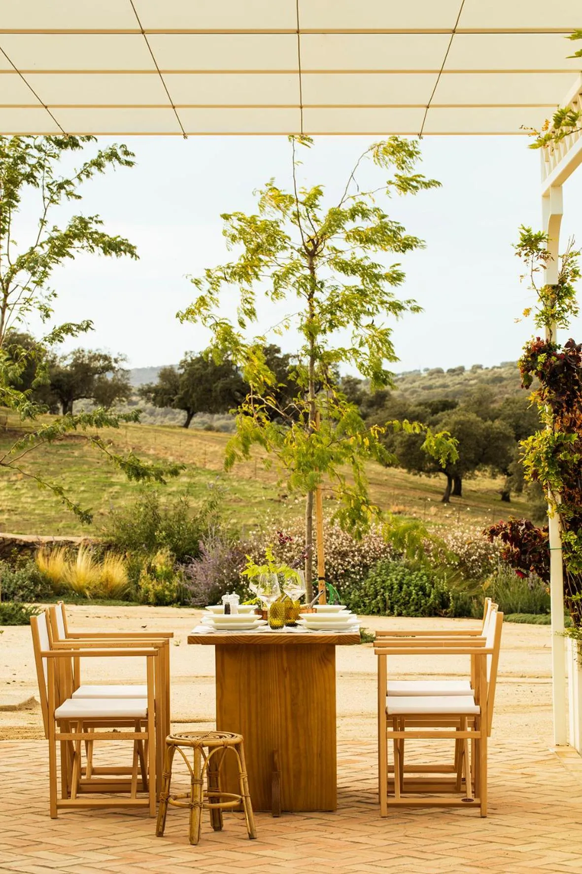 Restaurant/places to eat in La Dehesa de Don Pedro