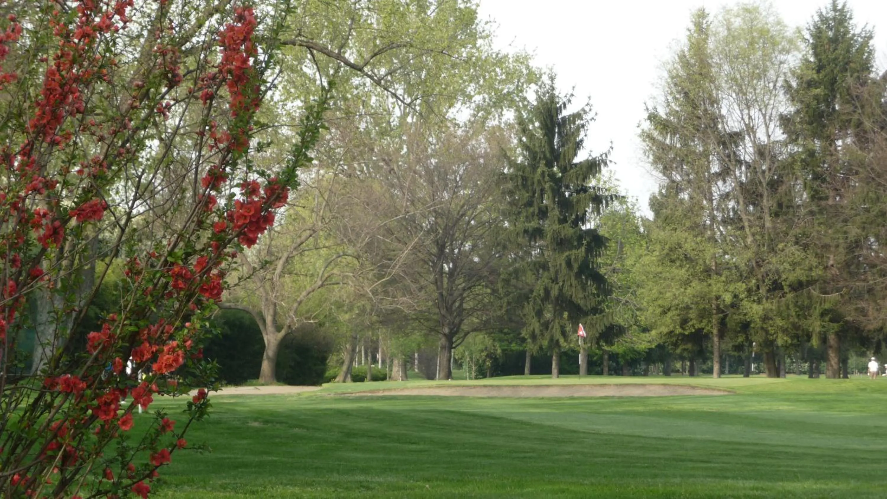 Golfcourse in Residence Hotel Torino Uno