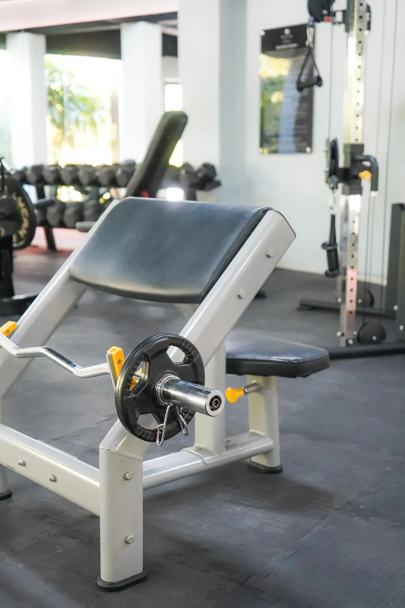 Fitness centre/facilities in Mistiq Gardens