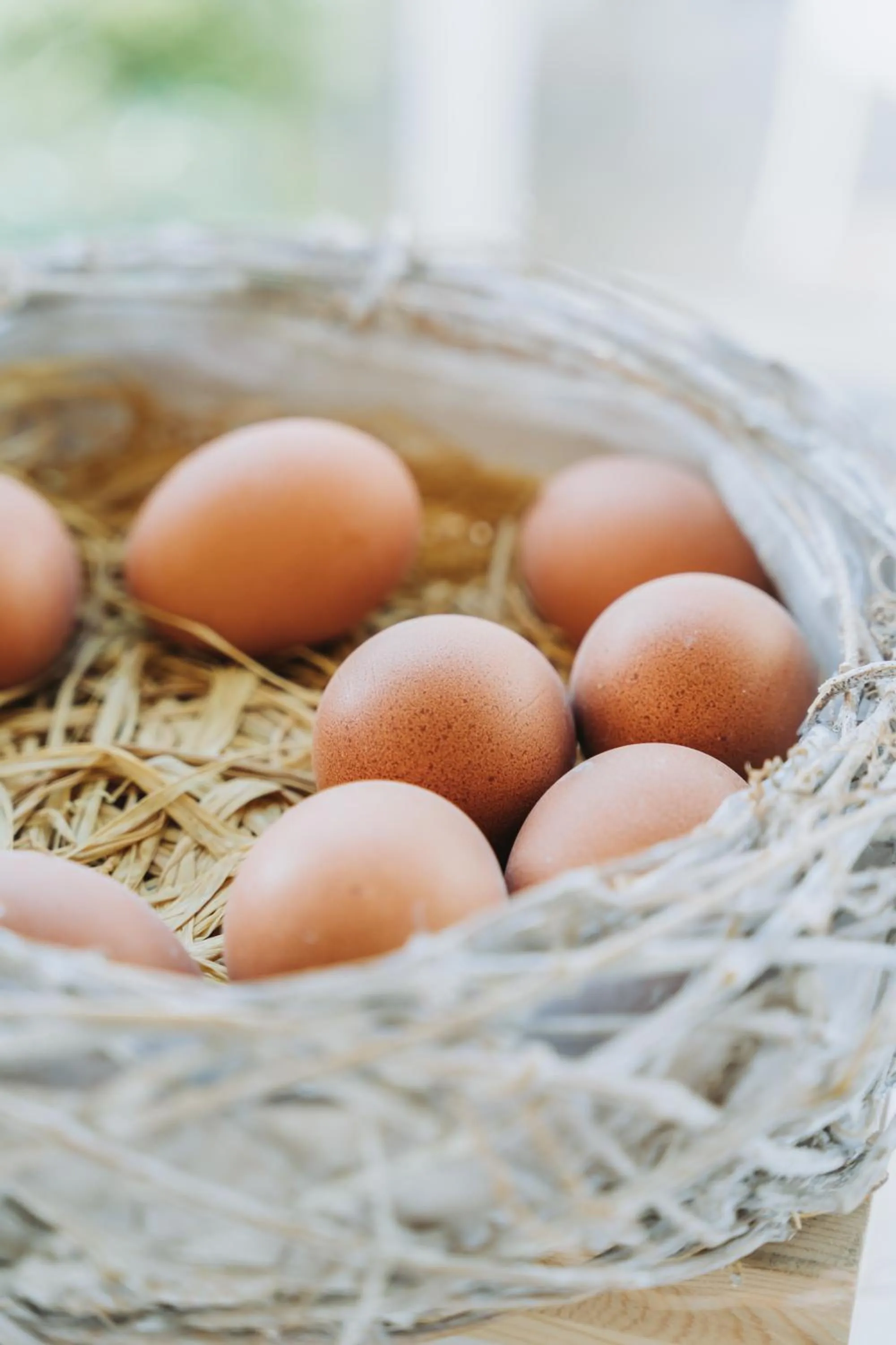 Food and drinks in Hotel Spiaggia d'Oro - Charme & Boutique - Garda Lake Collection