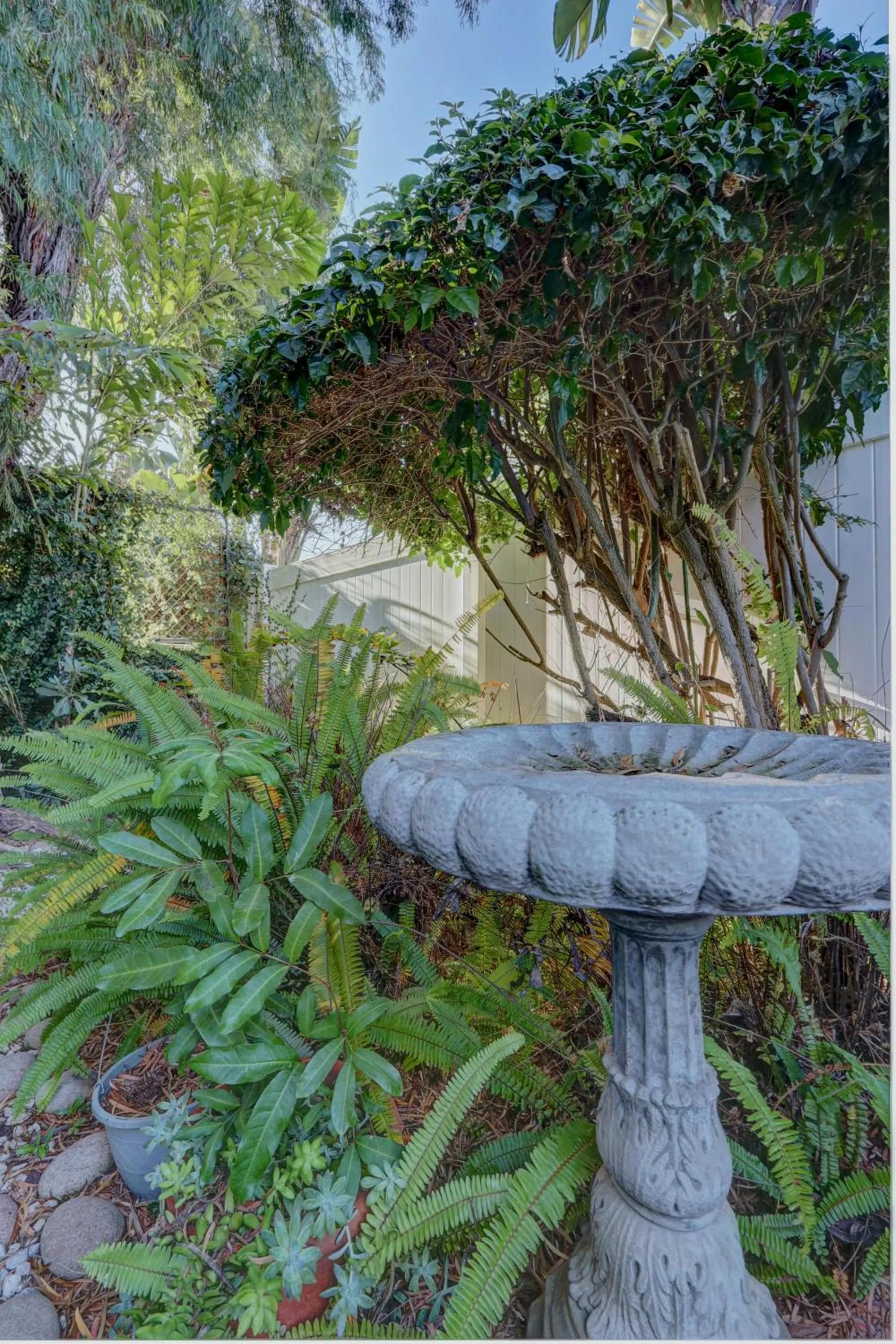 Garden in Pelican Cove Inn