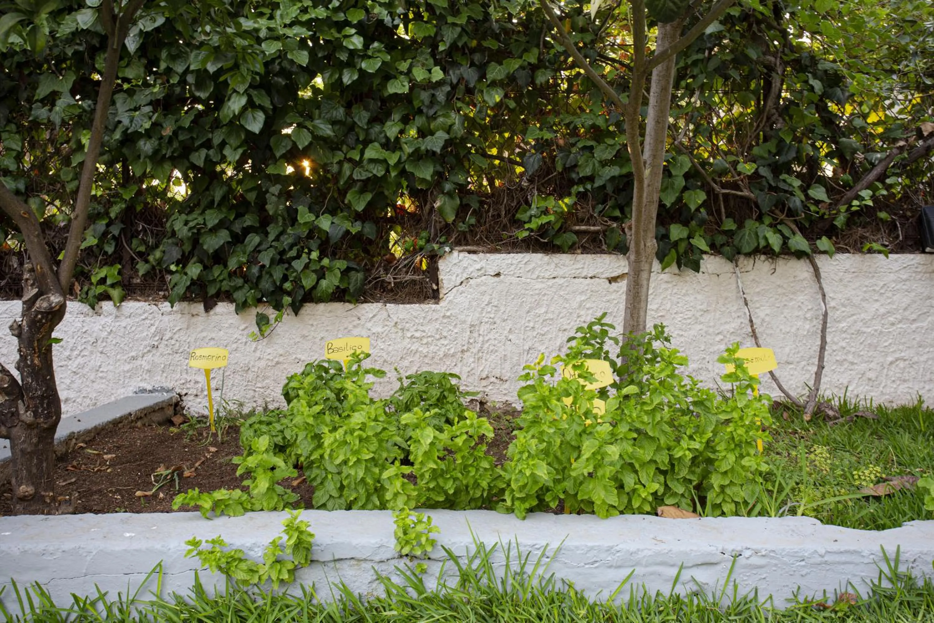 Day in Stella del mare Apartments