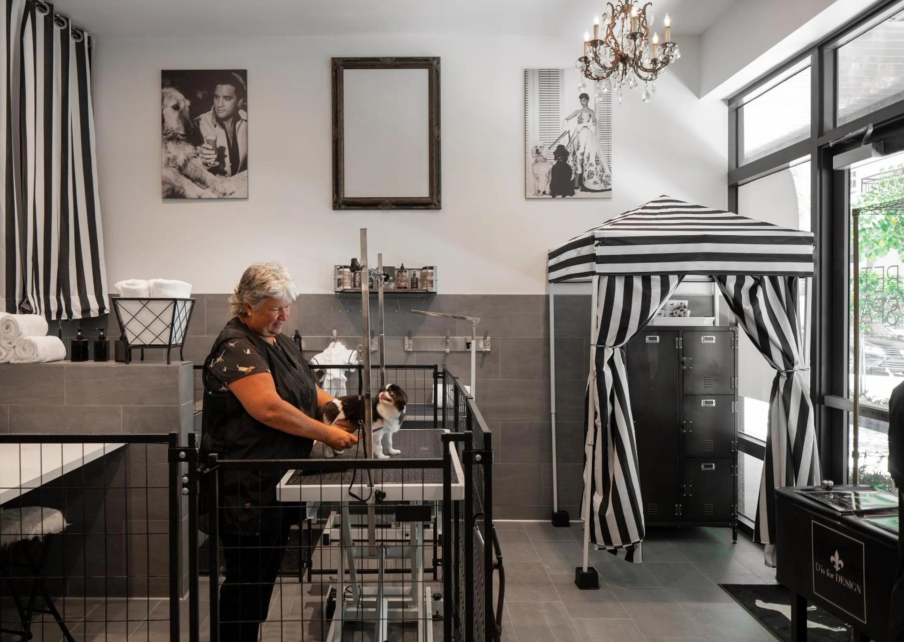 Animals in AKA West Palm