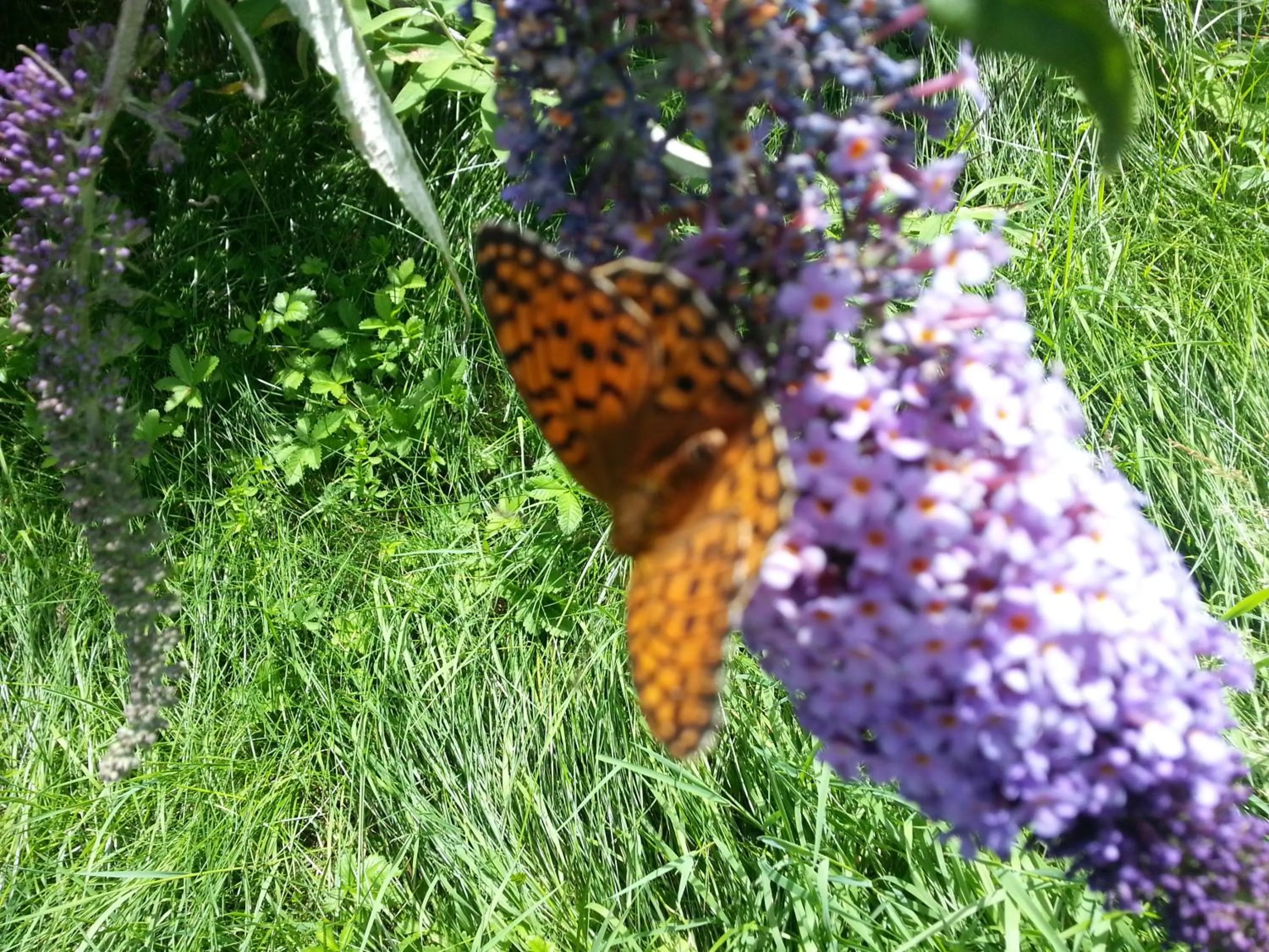 Day in Agriturismo Al Marnich