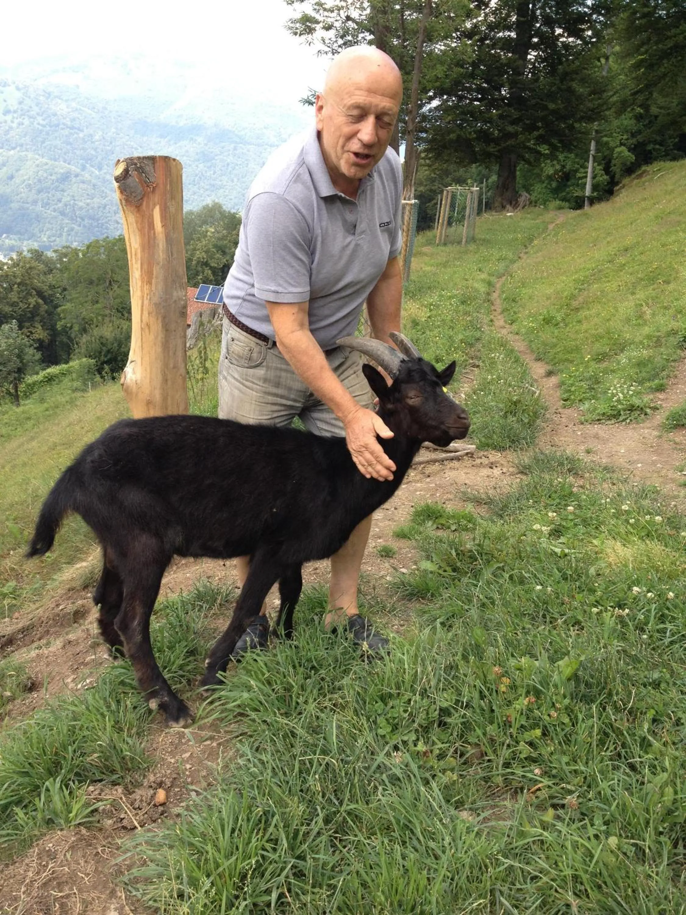 On site in Agriturismo Al Marnich