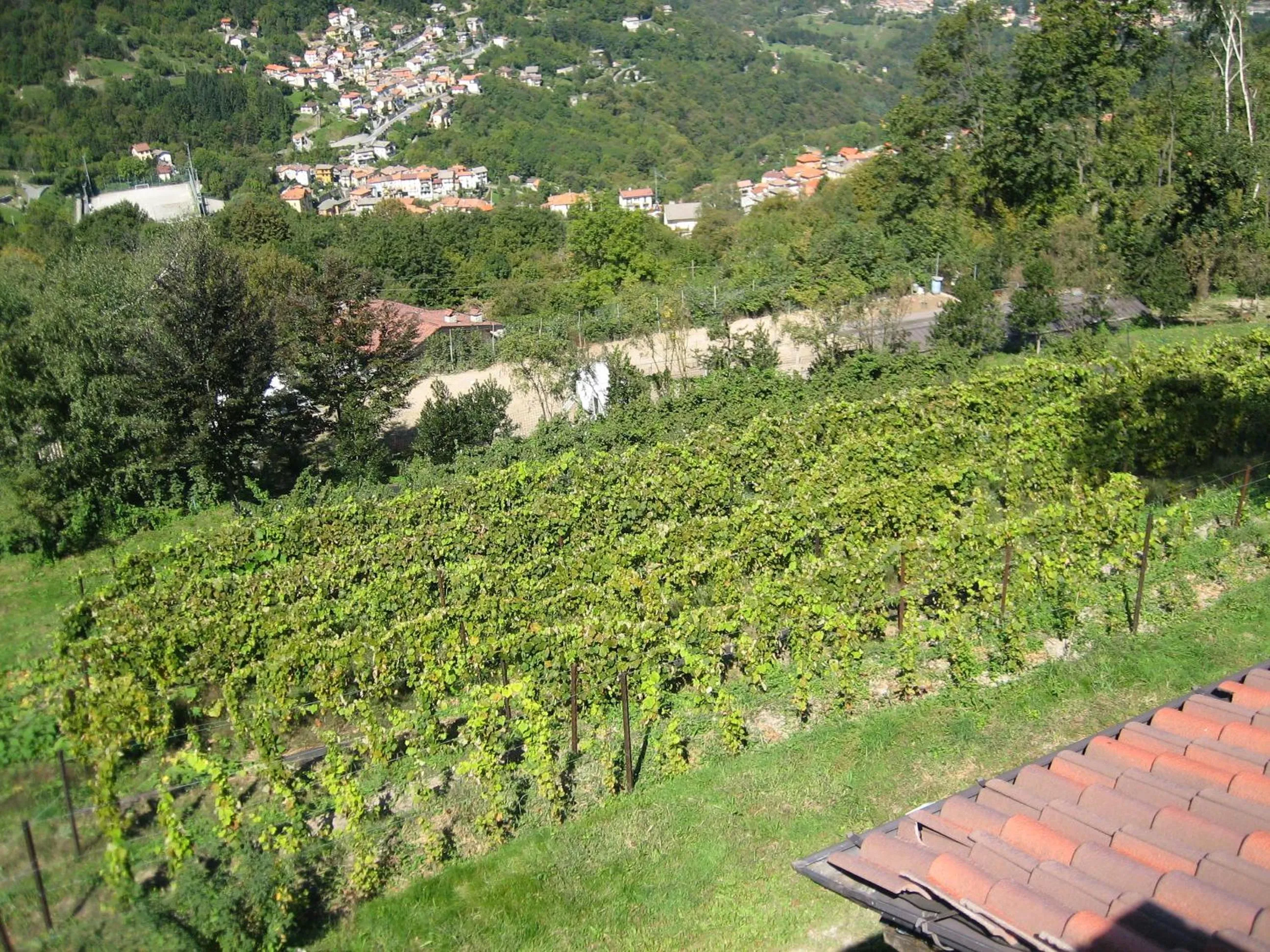 View (from property/room) in Agriturismo Al Marnich