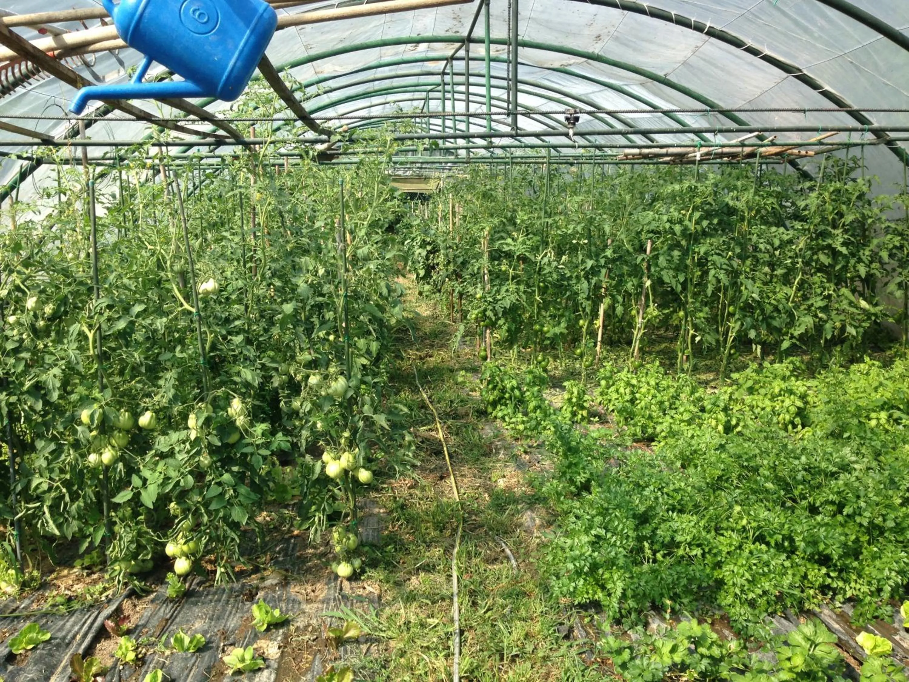 Day in Agriturismo Al Marnich