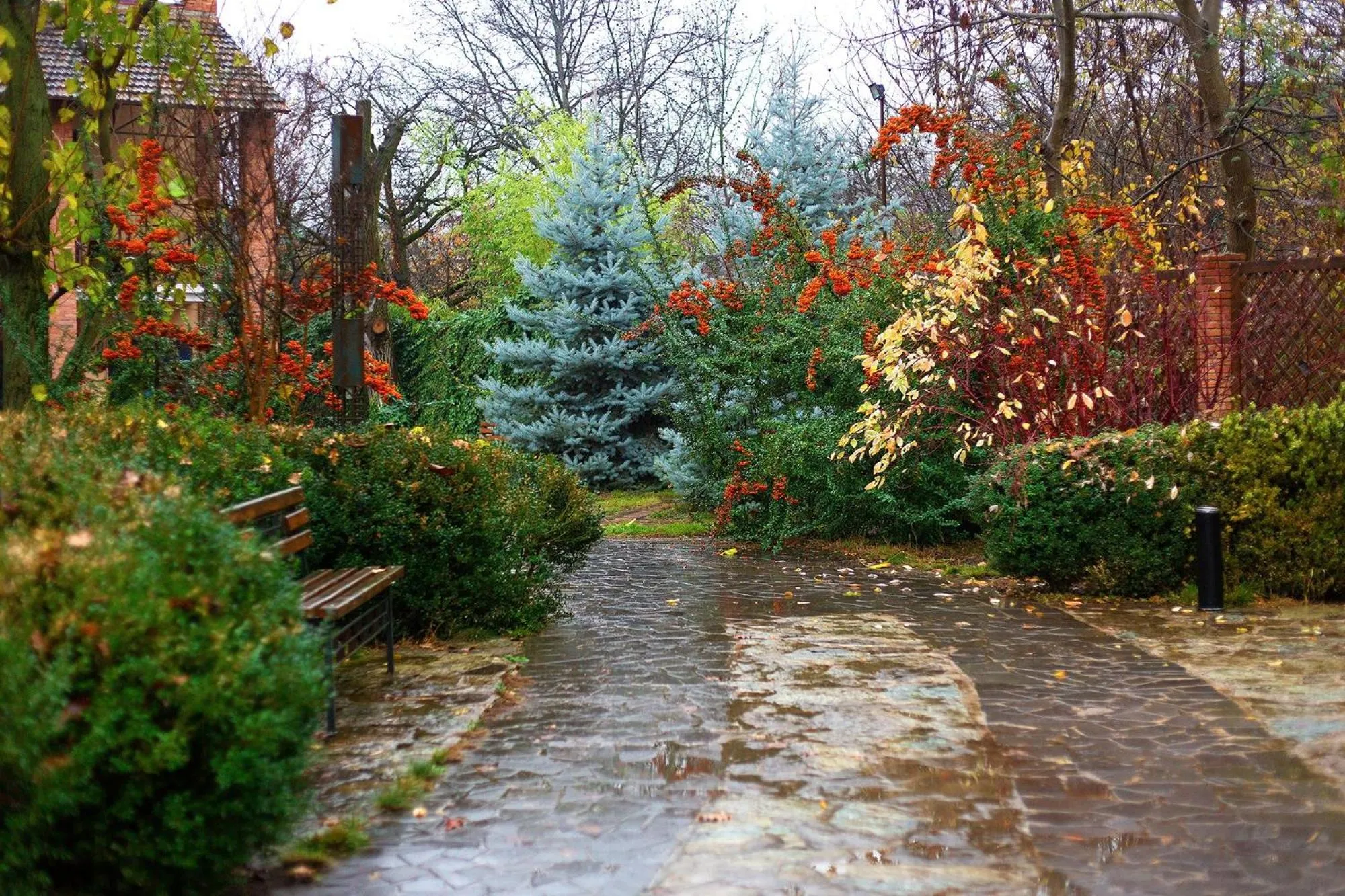 Garden in Giuaani Winery