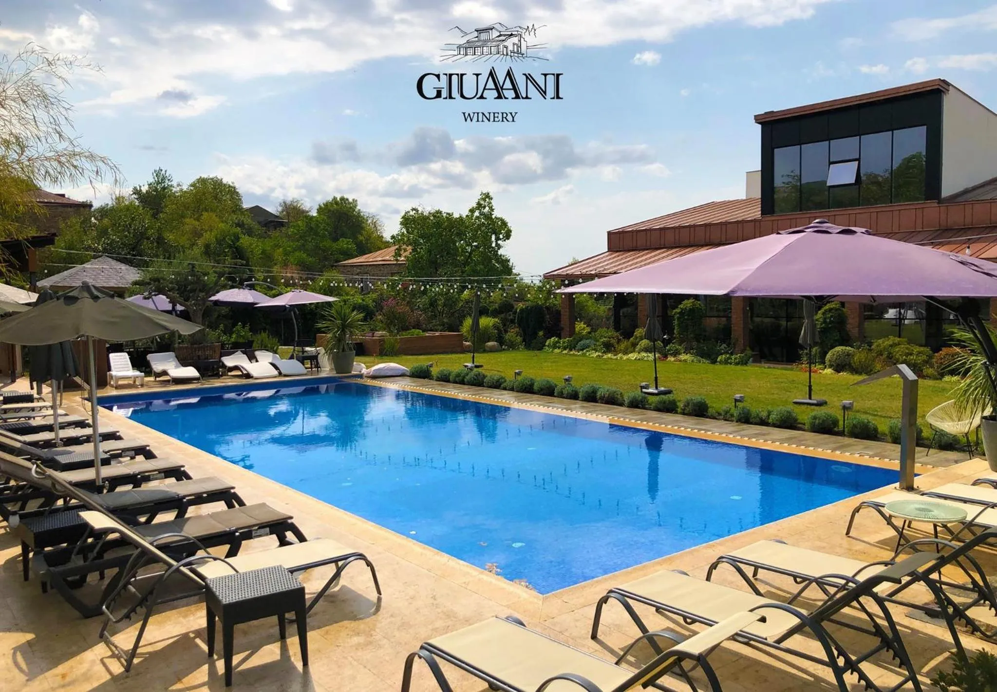 Swimming pool in Giuaani Winery