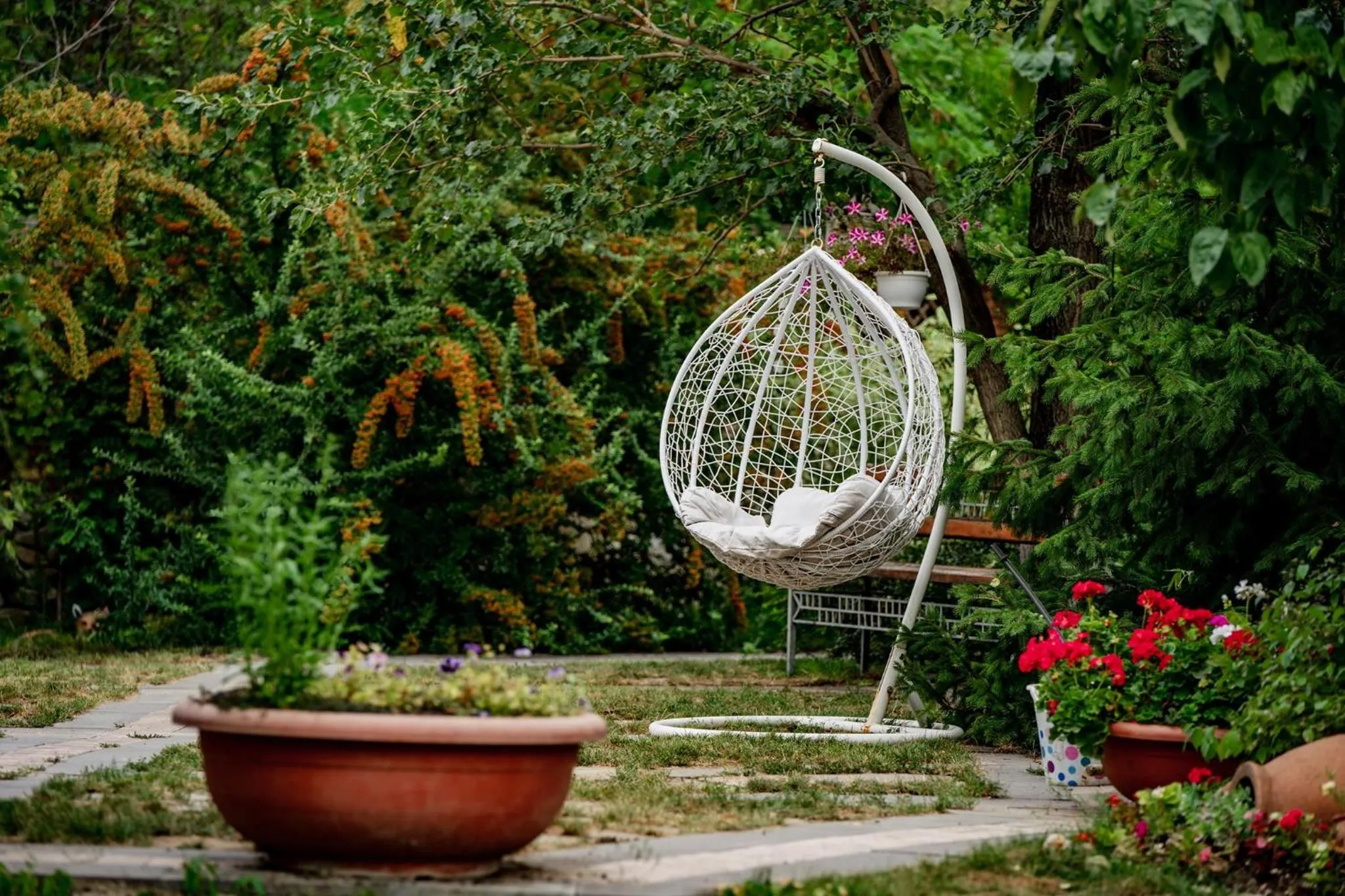 Garden in Giuaani Winery