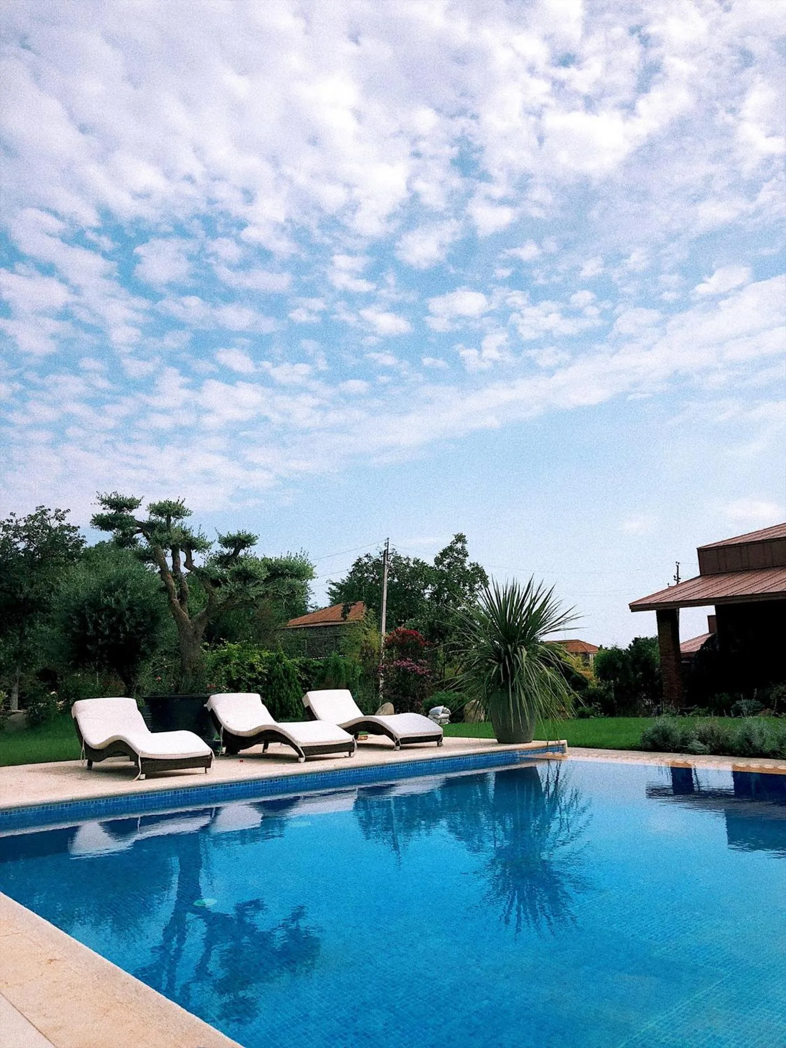 Swimming pool in Giuaani Winery