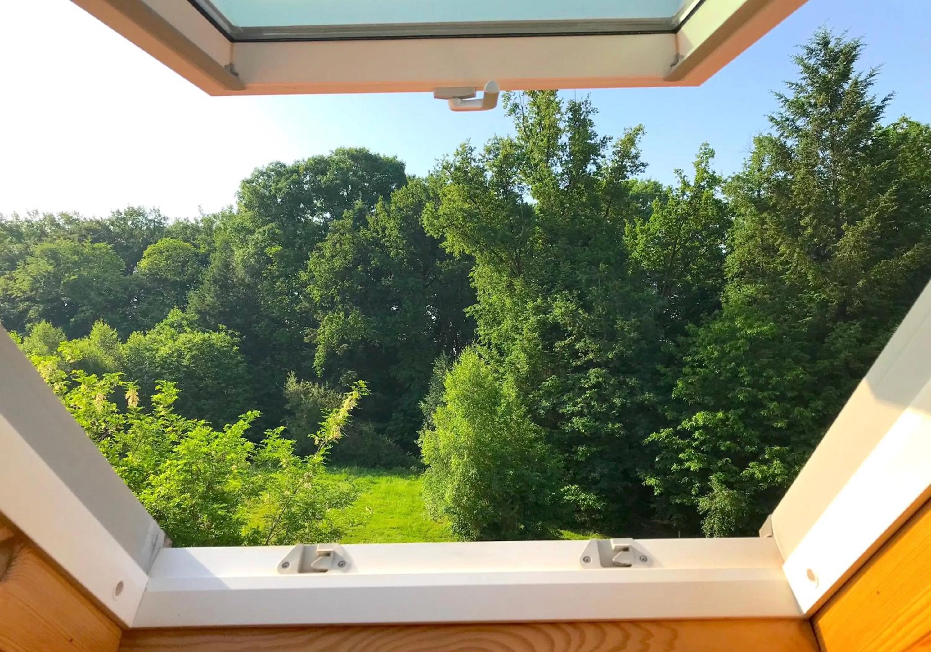 View (from property/room) in Il était une fois