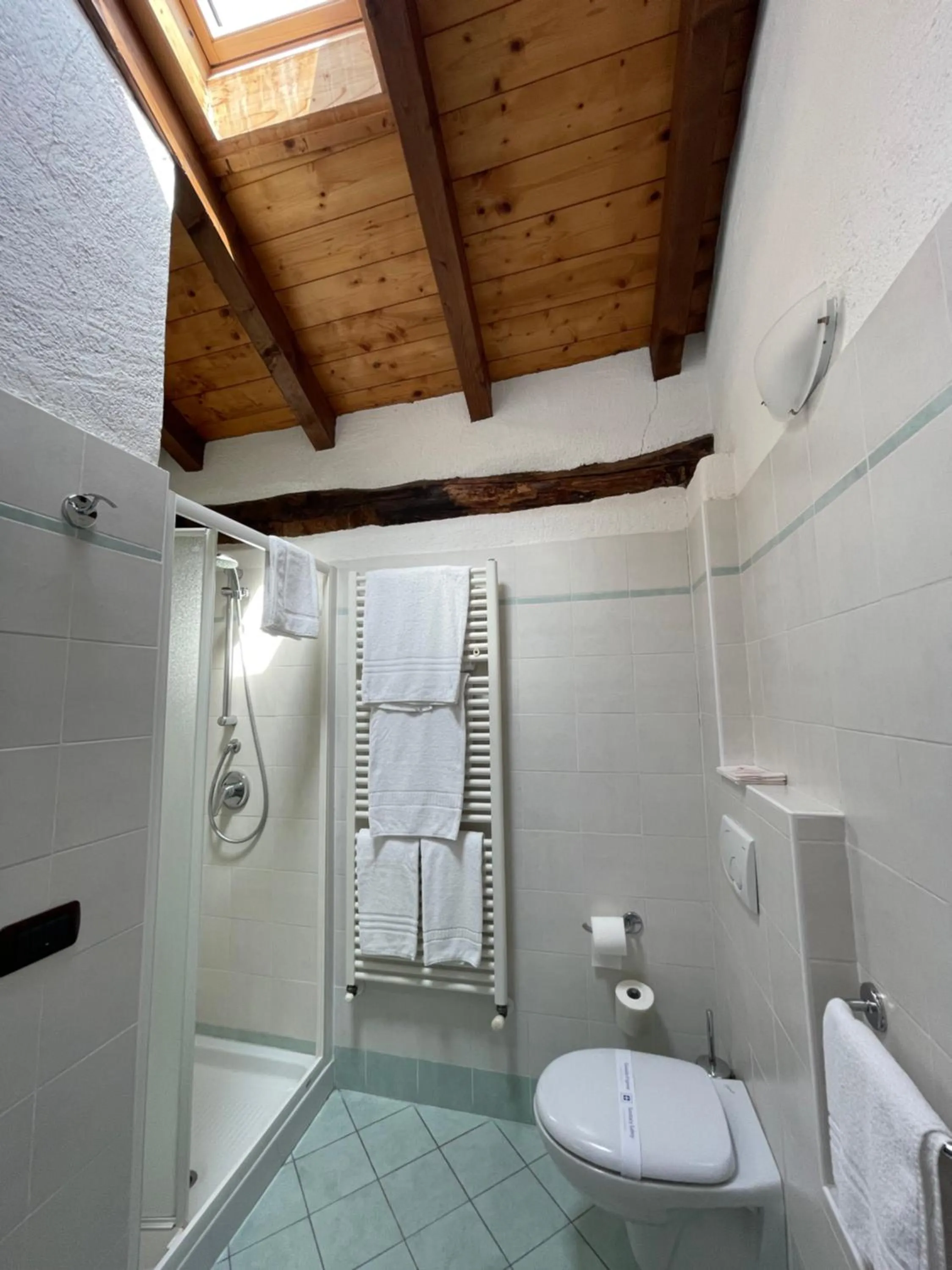 Shower in Hotel La Torre