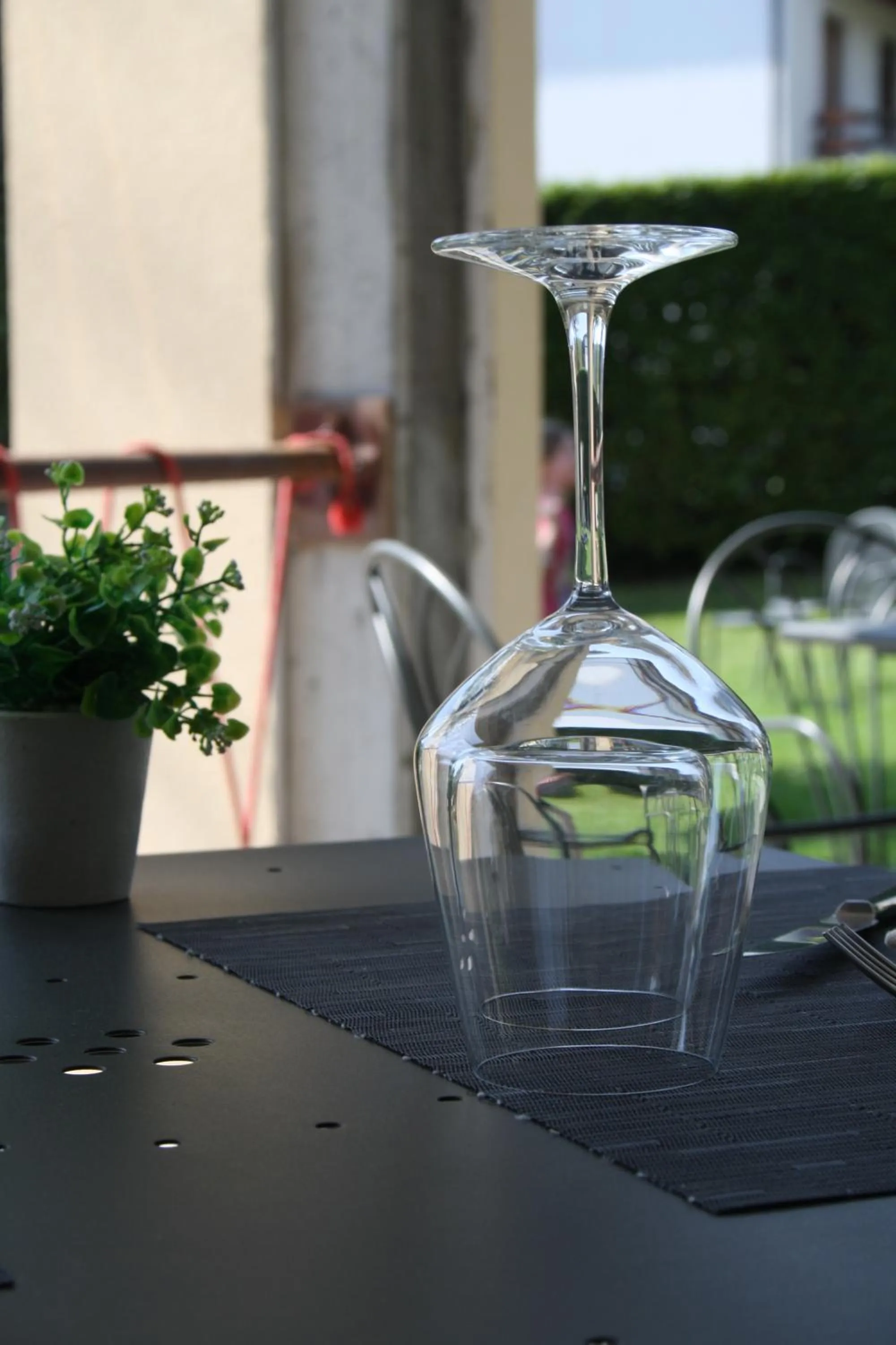 Garden in Hotel La Torre