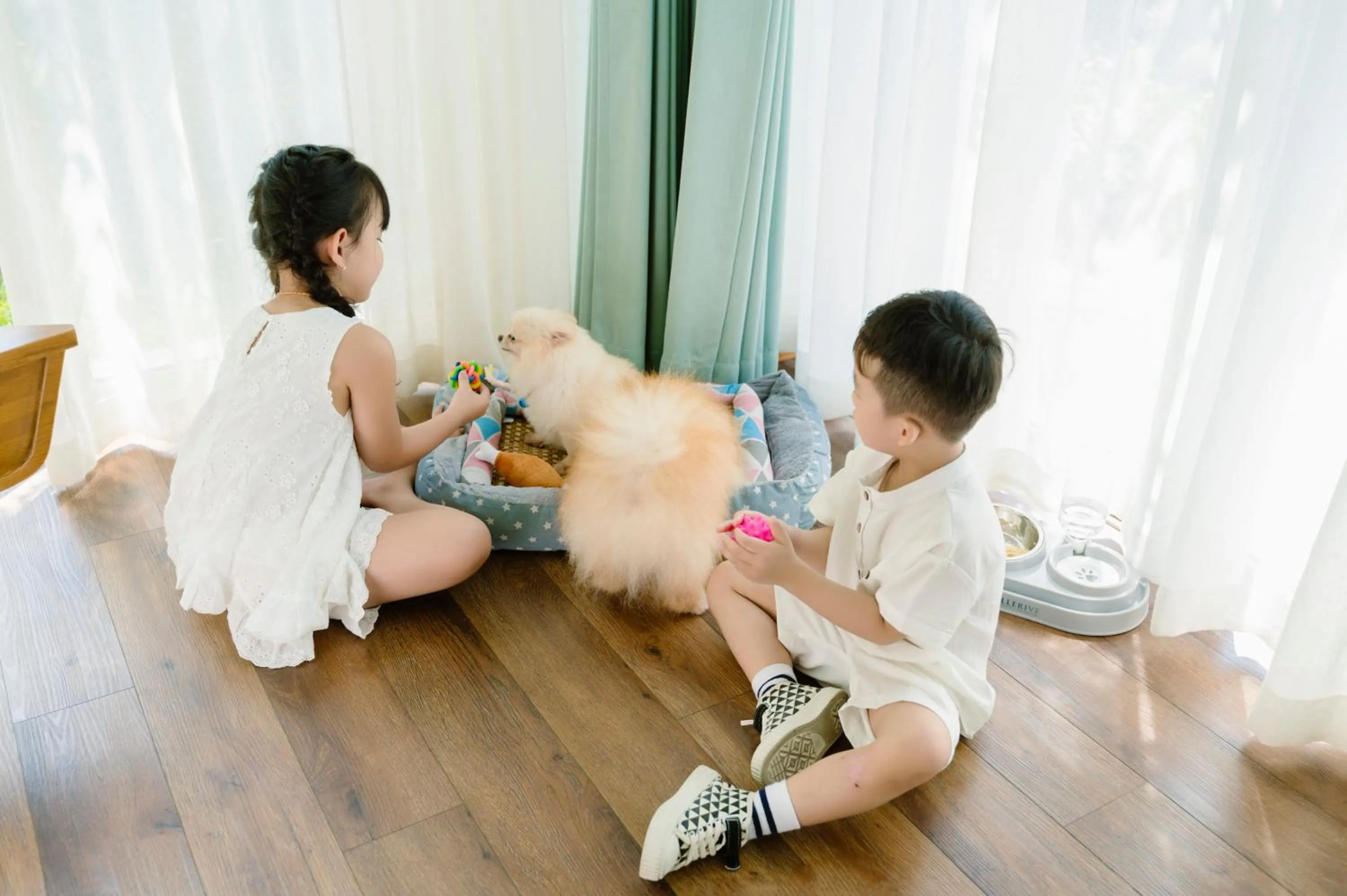 Pets in Bellerive Hoi An Resort and Spa