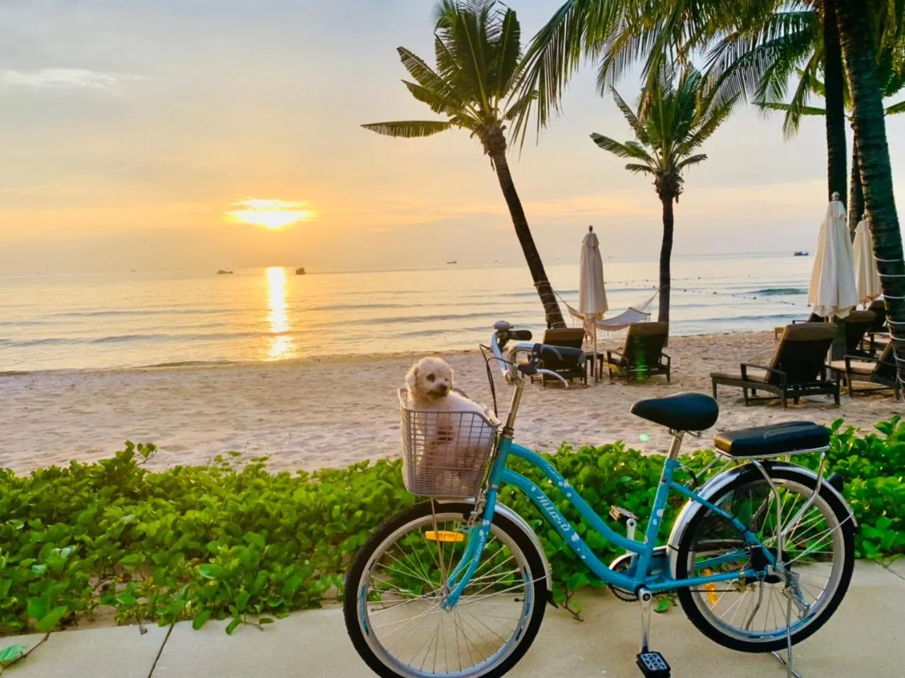 Beach in Minh Anh Hotel