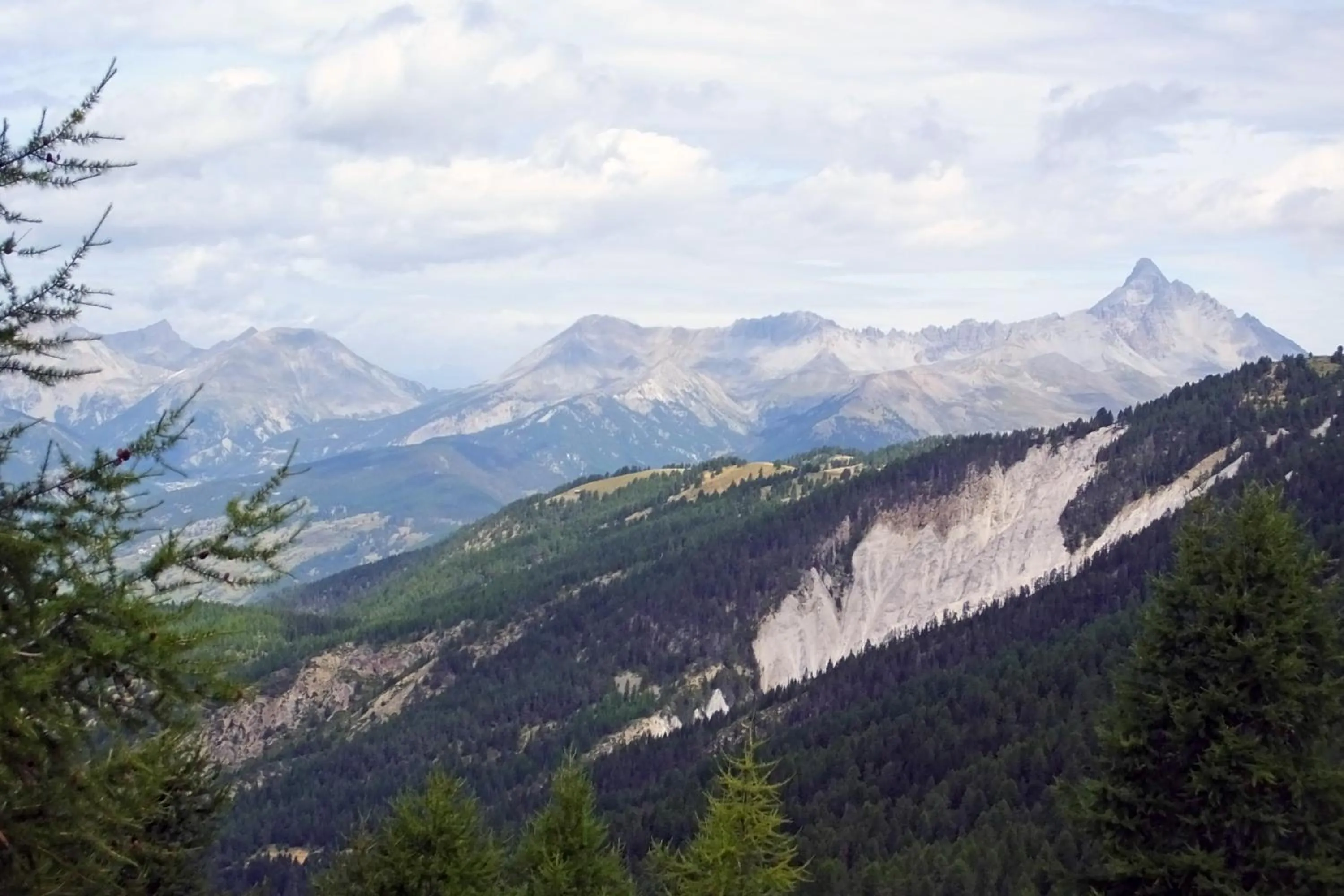 Natural landscape in Gîte Chalet La Vie Sauvage