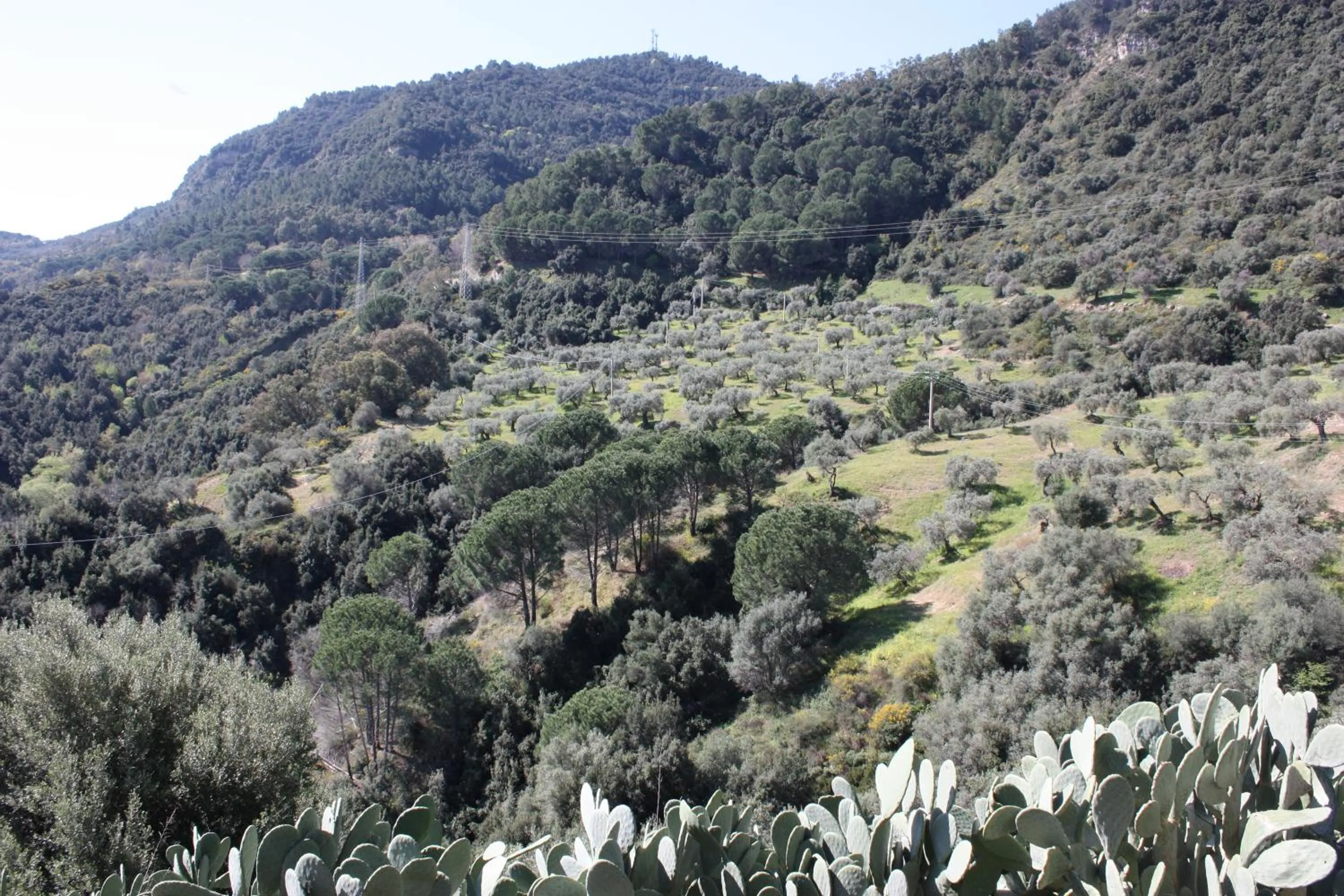 Azienda Agrituristica Le Puzelle