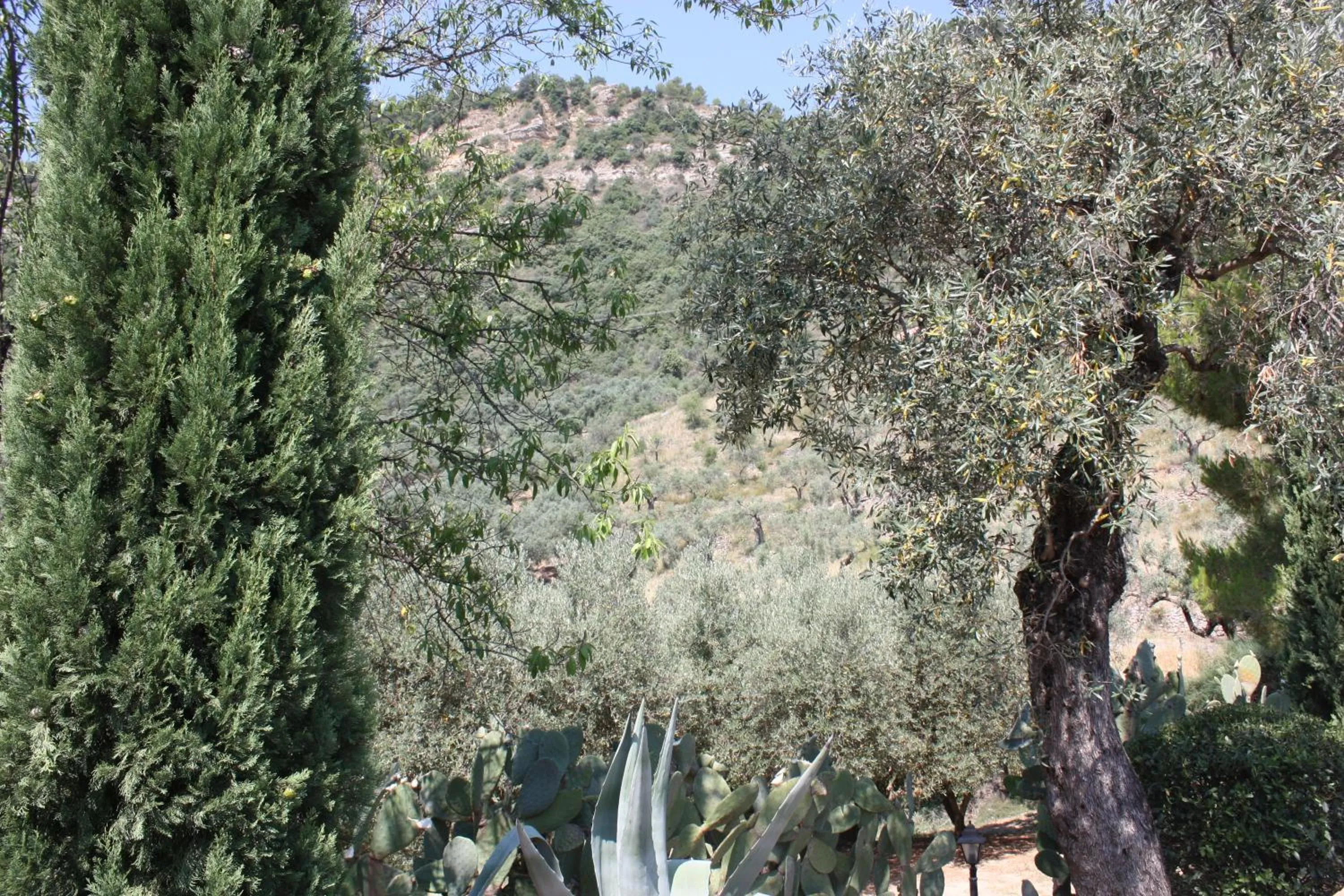 Azienda Agrituristica Le Puzelle