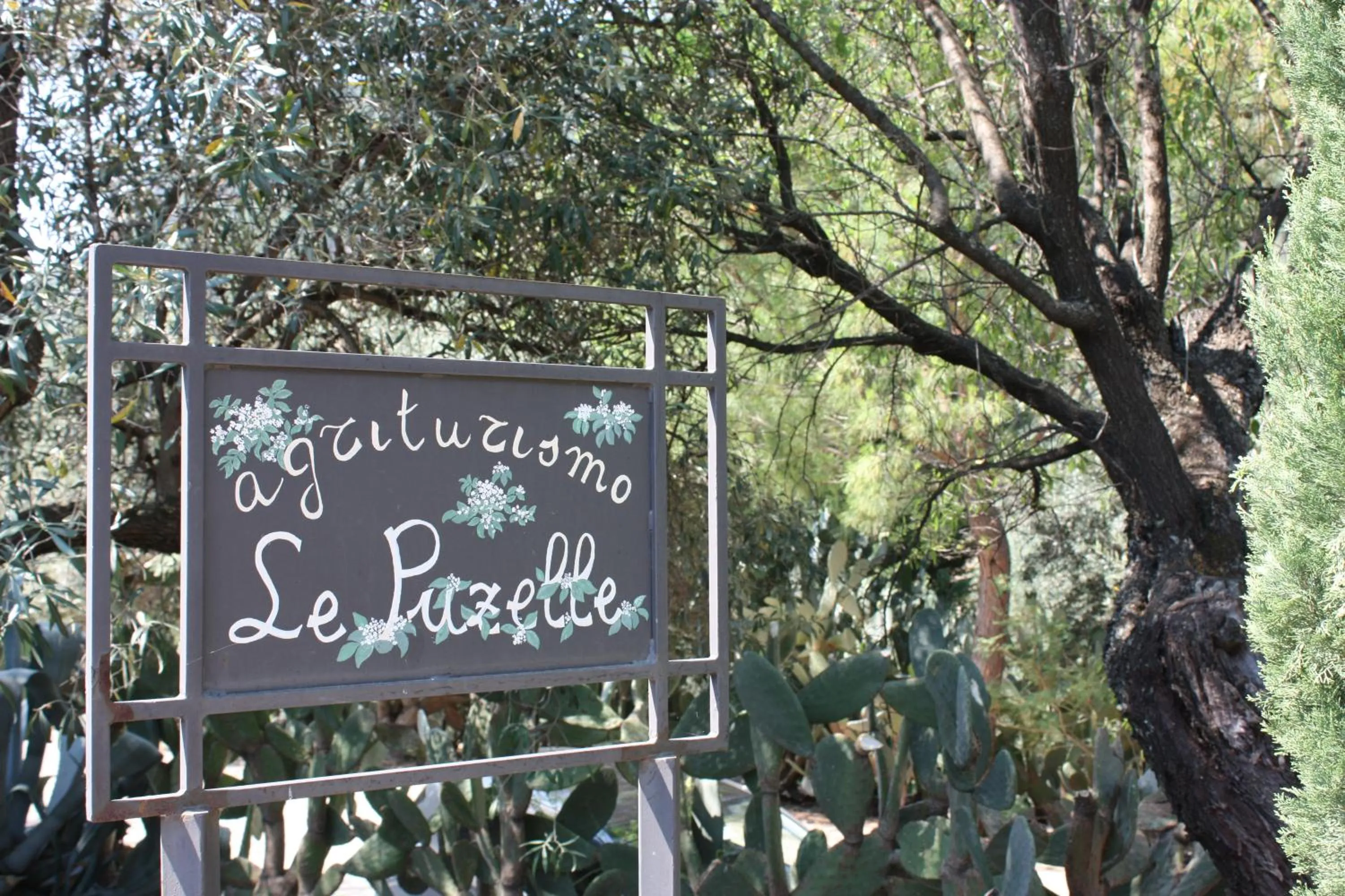 Azienda Agrituristica Le Puzelle