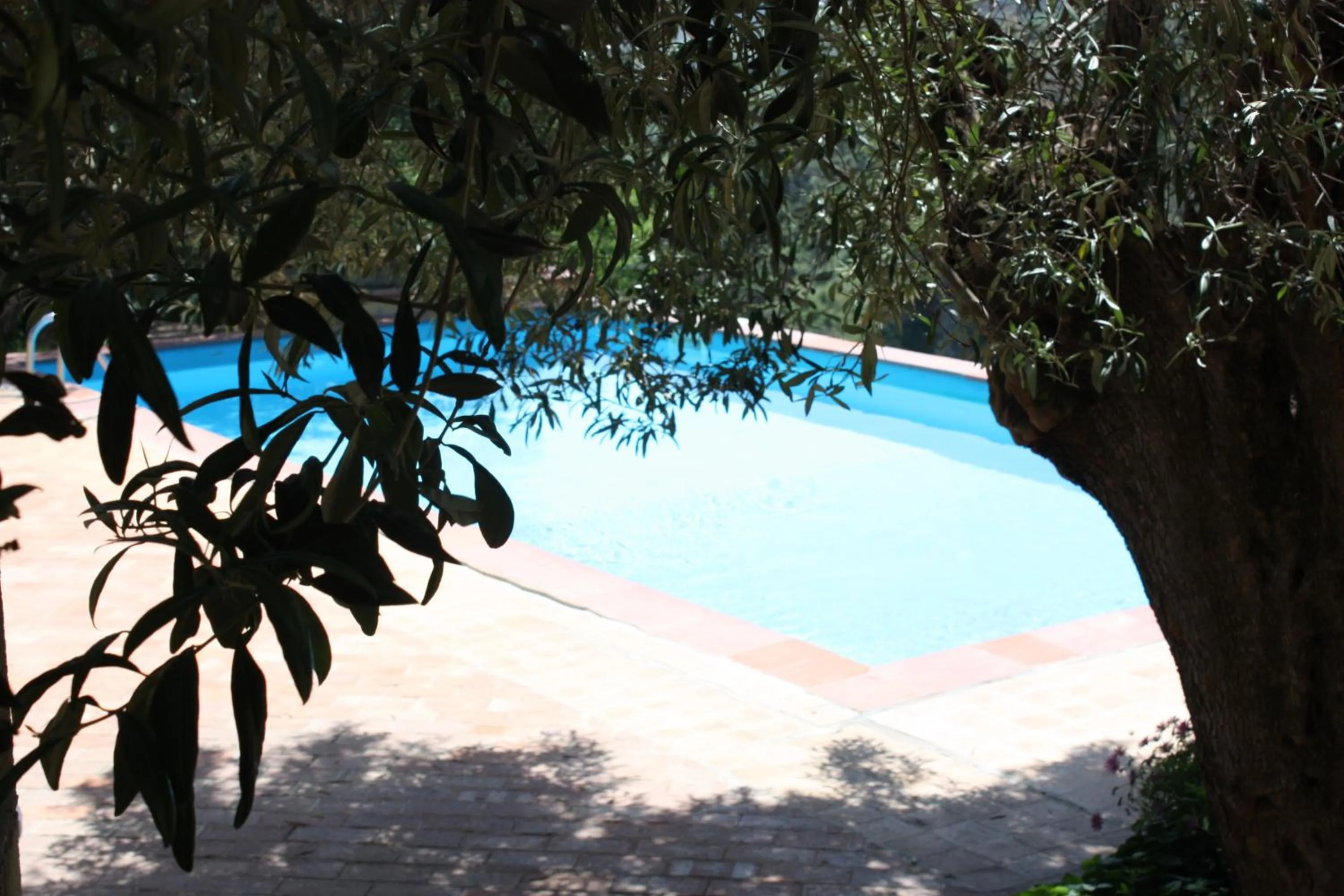 Pool view in Azienda Agrituristica Le Puzelle