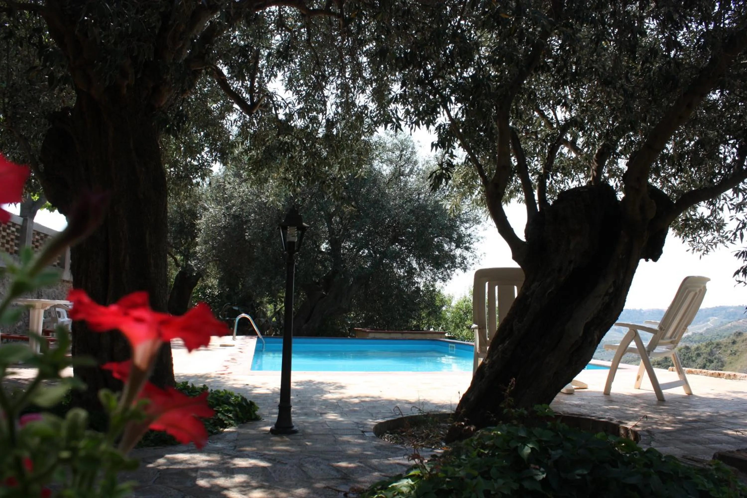 Azienda Agrituristica Le Puzelle