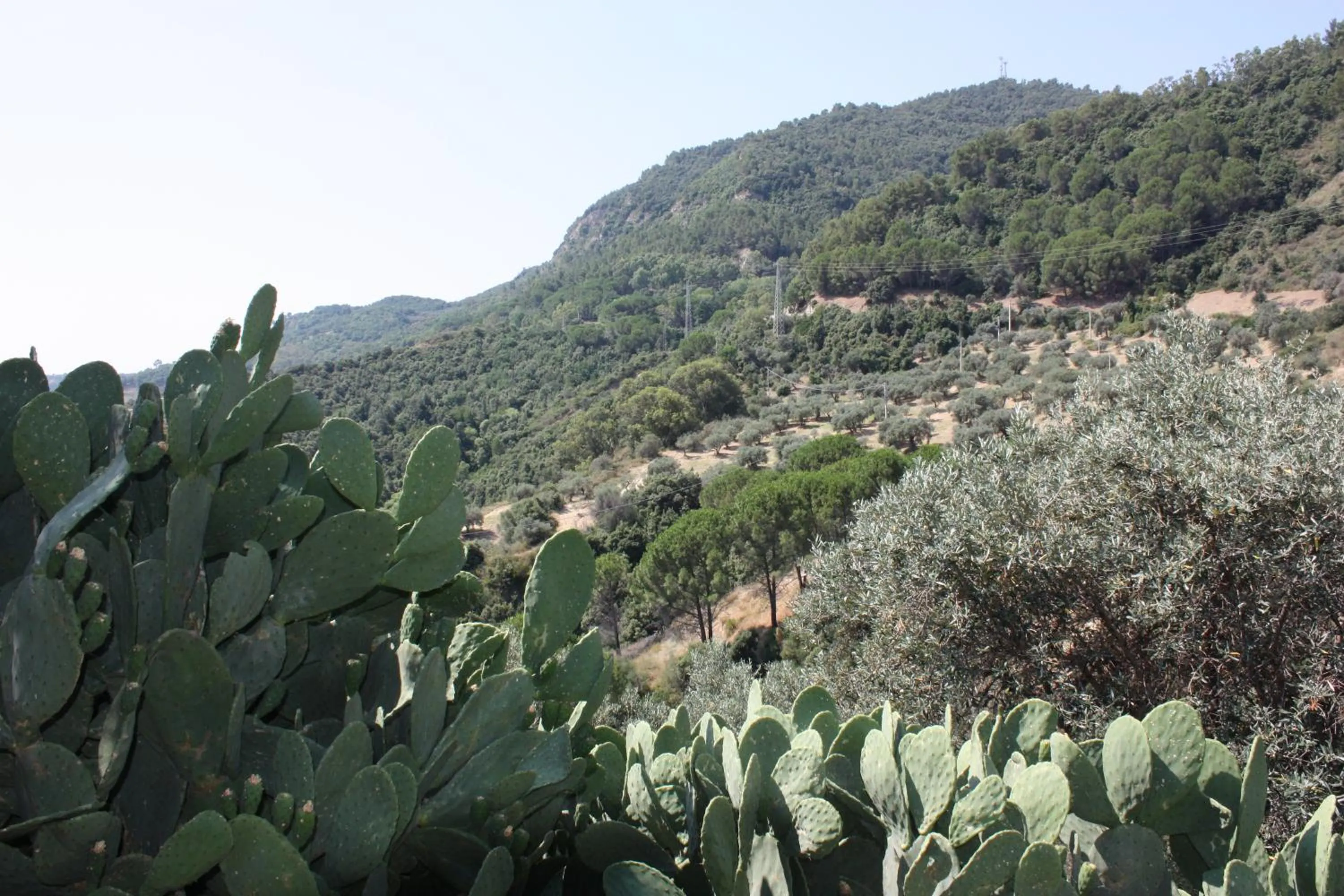 Azienda Agrituristica Le Puzelle