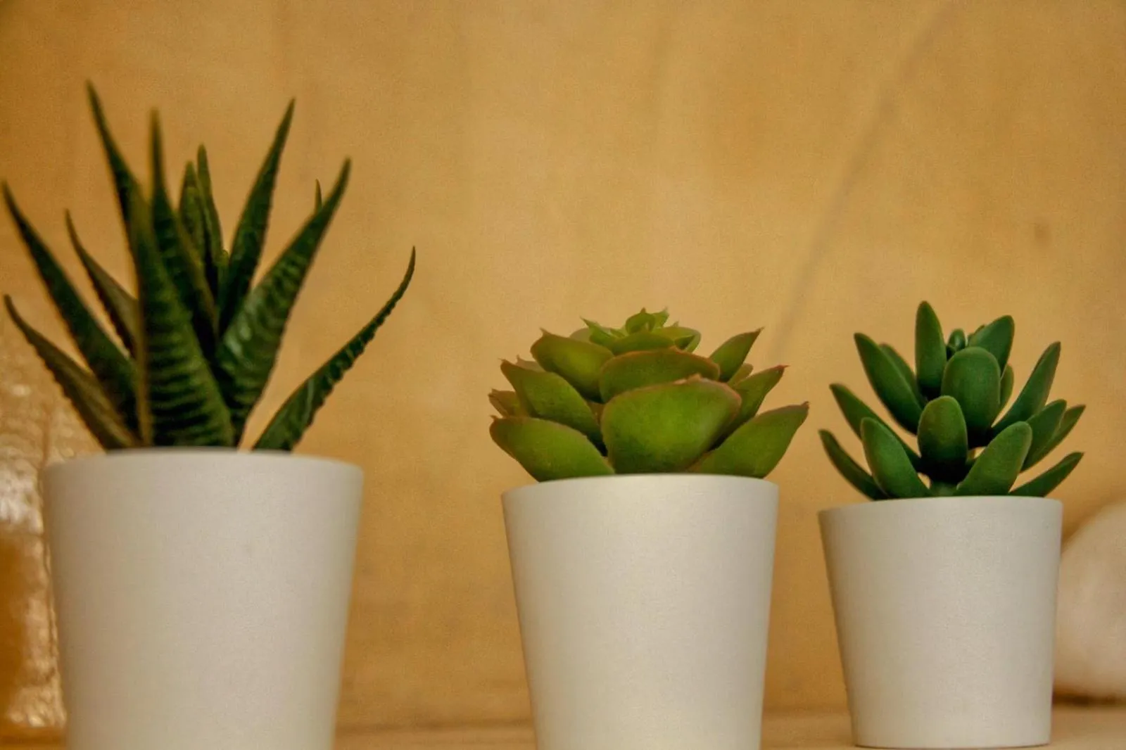 Decorative detail in White Element