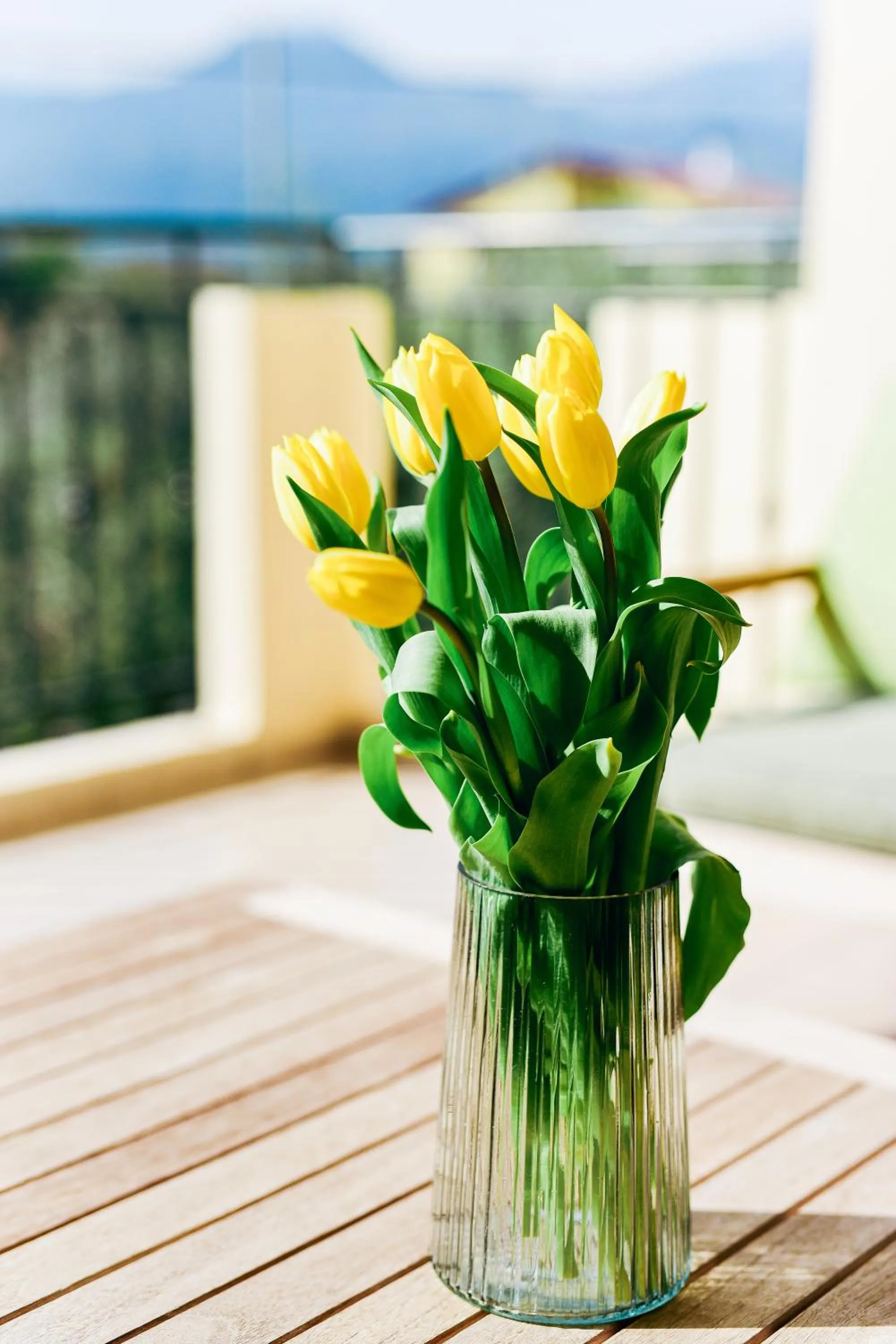 Balcony/Terrace in Oliva Holiday Homes