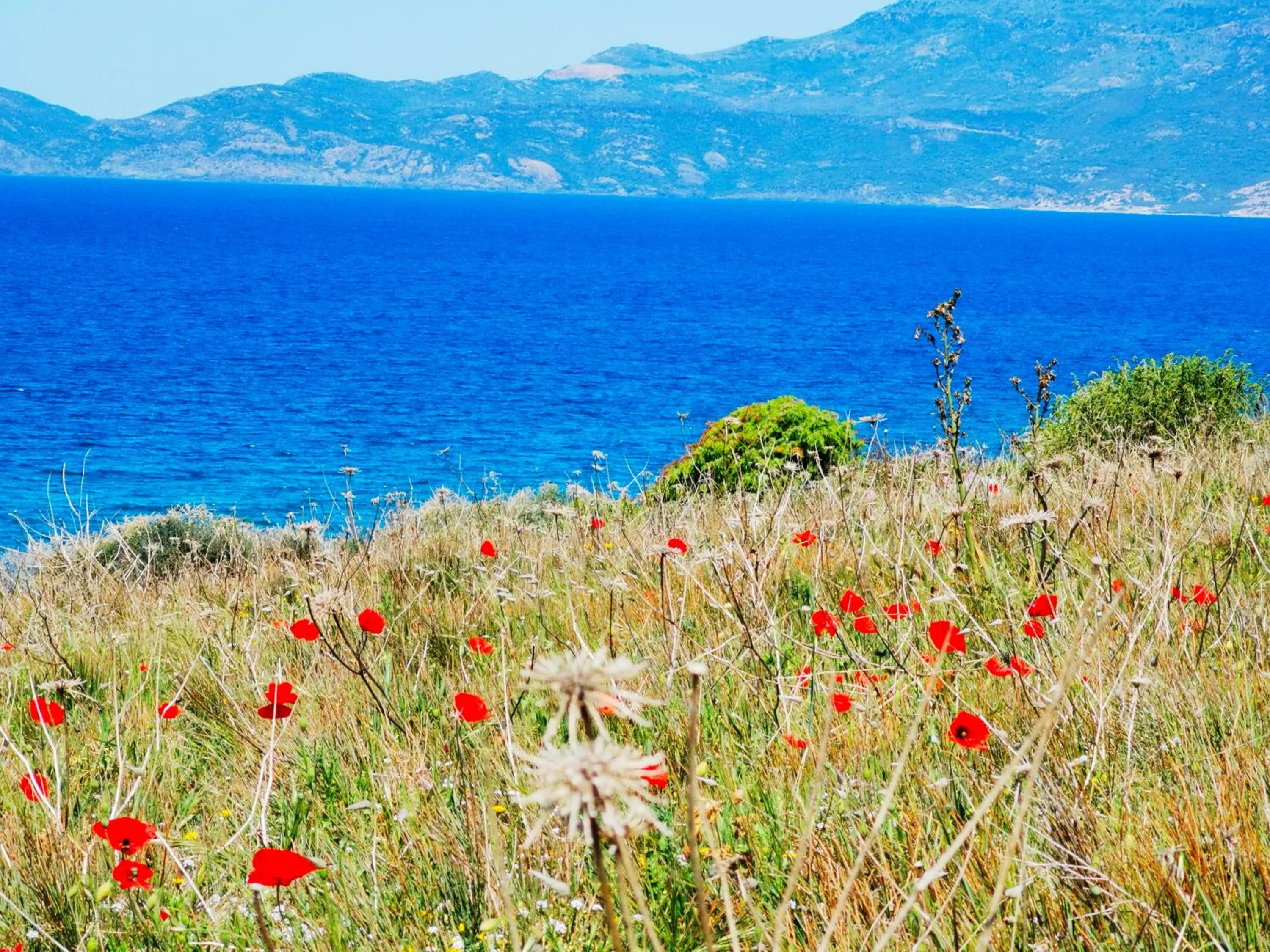 Natural landscape in La Corte degli Ulivi - Albergo Rurale
