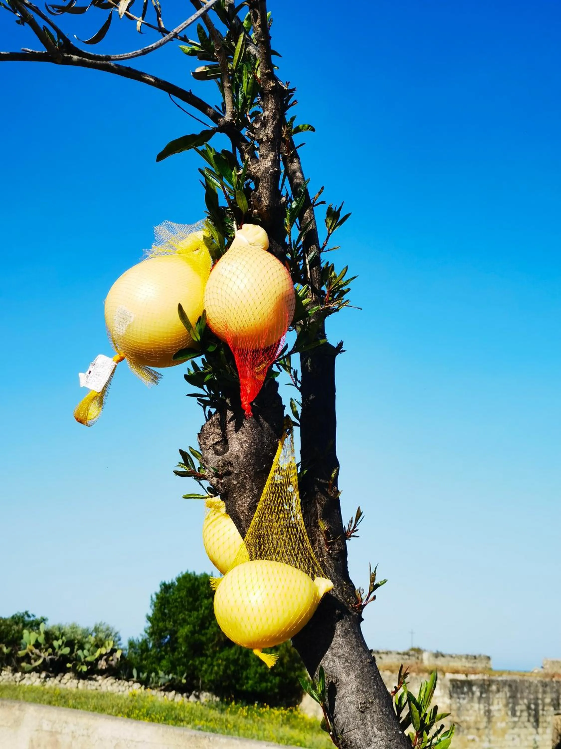 Food close-up in La Corte degli Ulivi - Albergo Rurale
