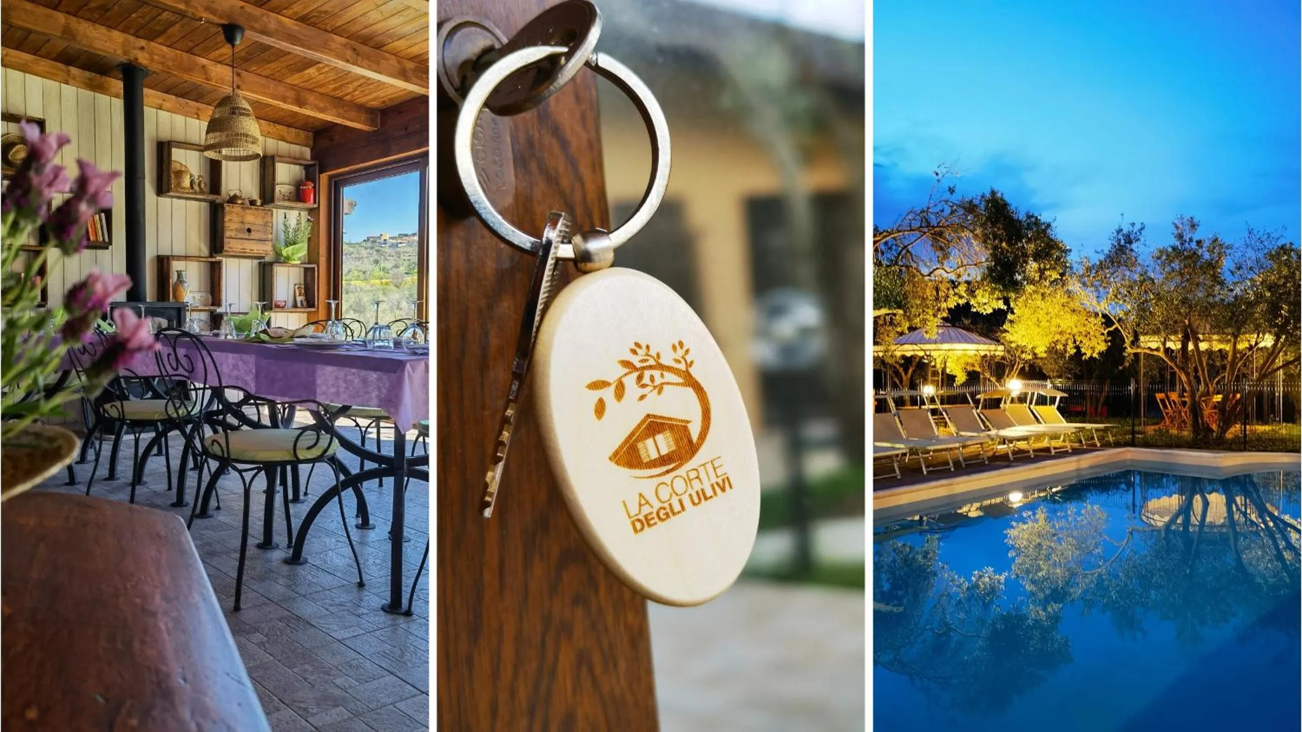 Pool view in La Corte degli Ulivi - Albergo Rurale