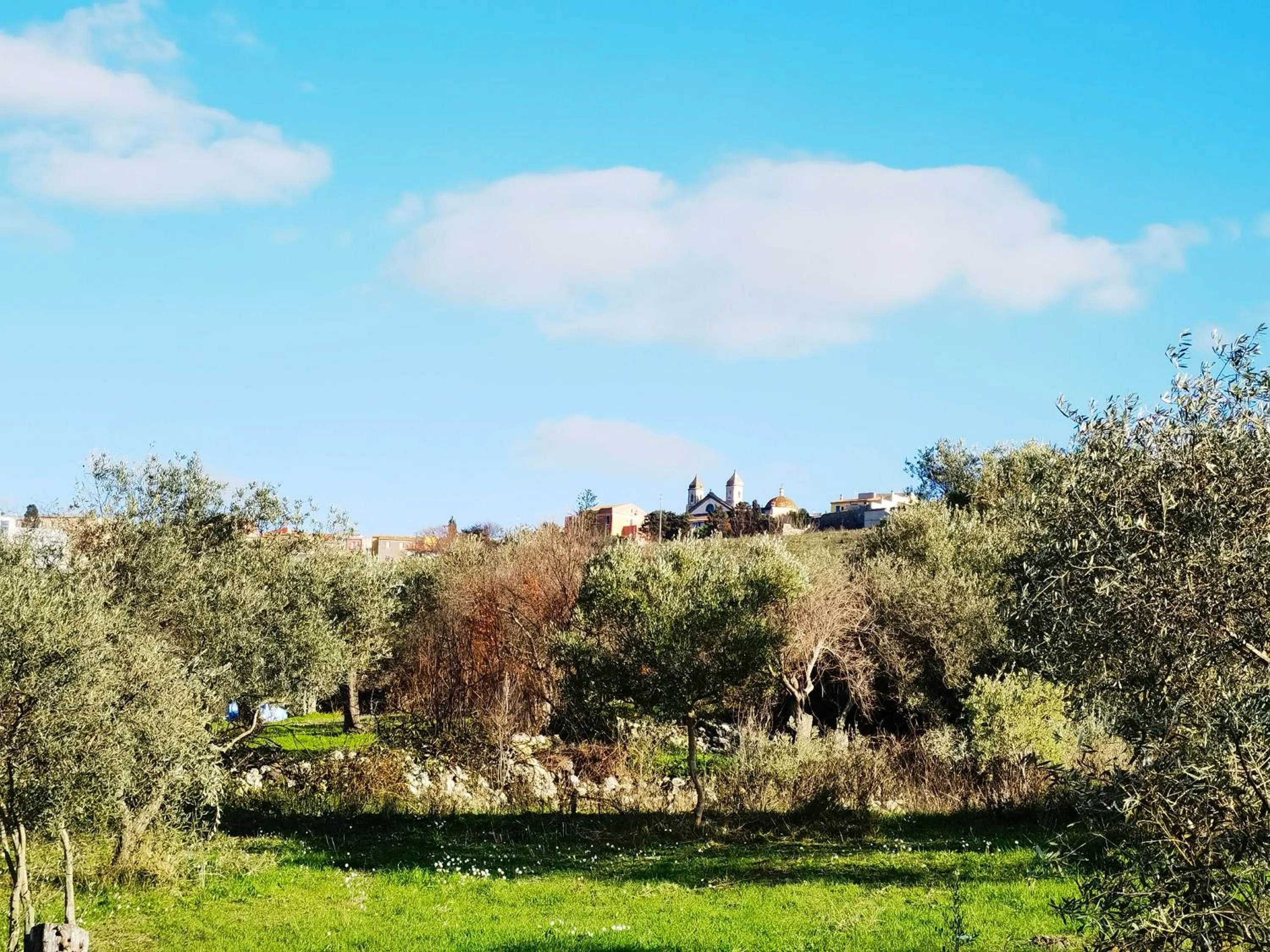 Natural landscape in La Corte degli Ulivi - Albergo Rurale
