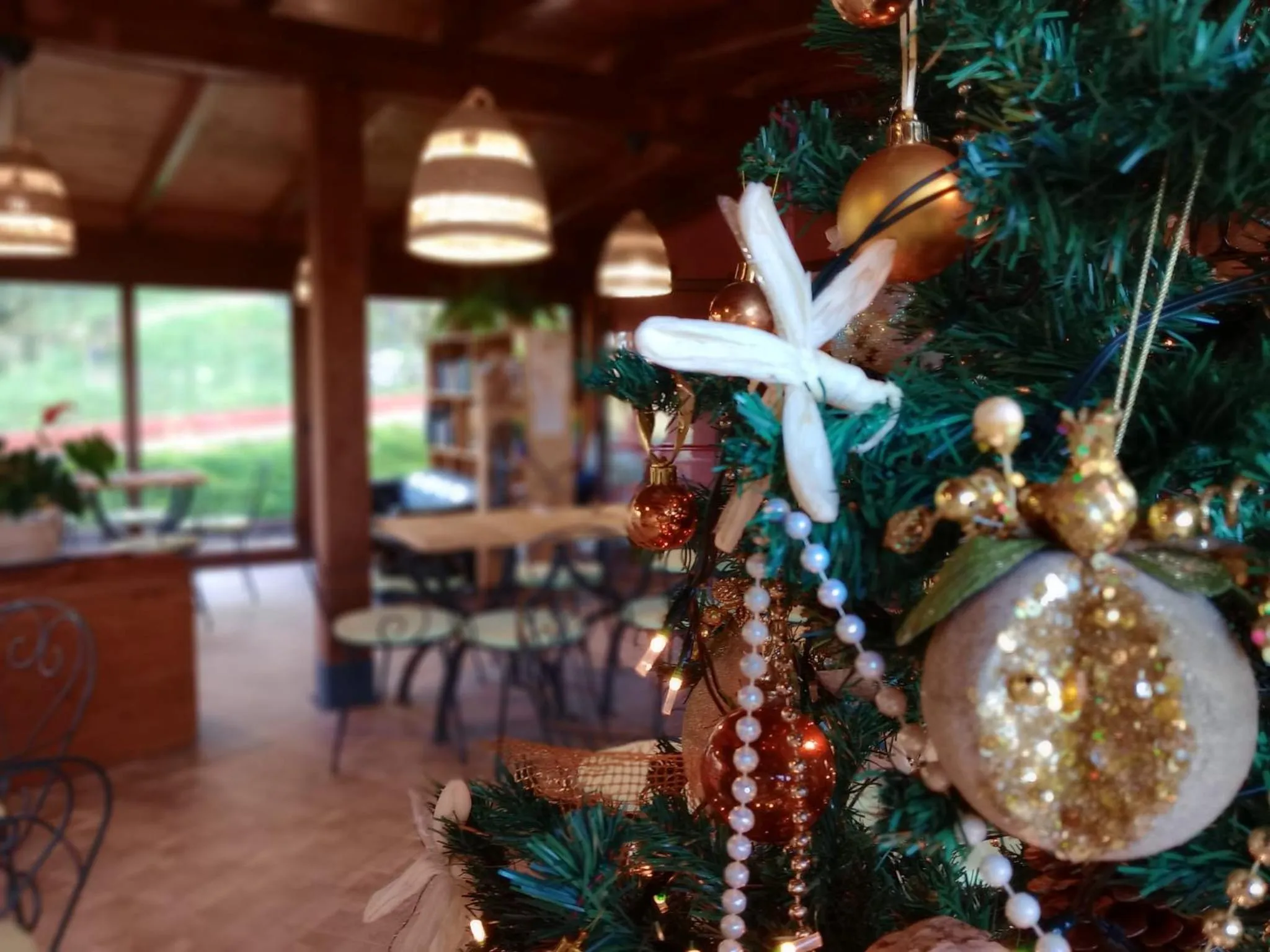 Breakfast in La Corte degli Ulivi - Albergo Rurale