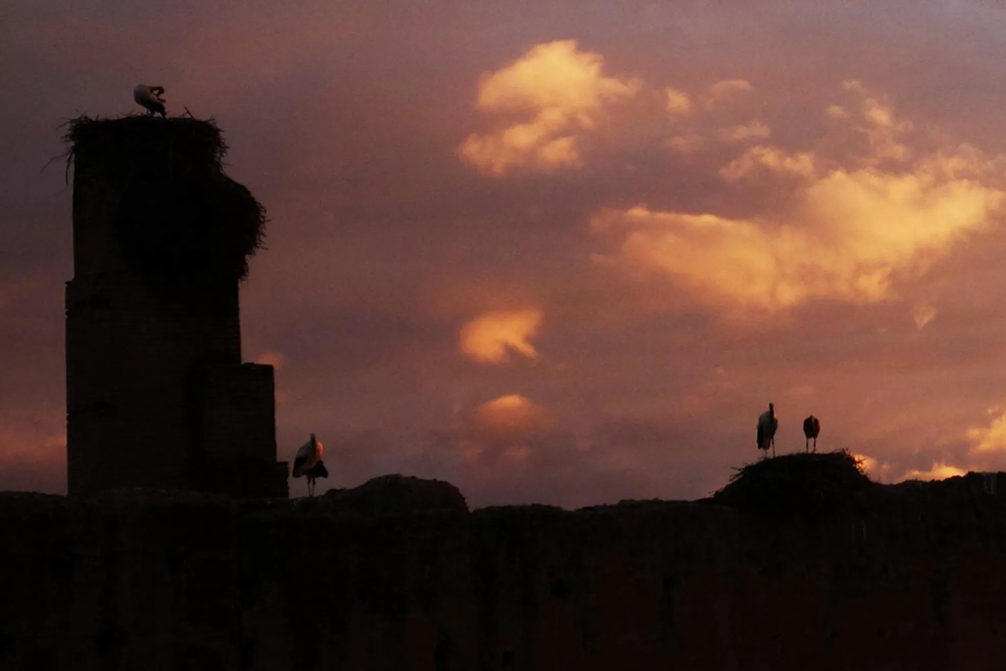 Sunset in Riad Of The Storks