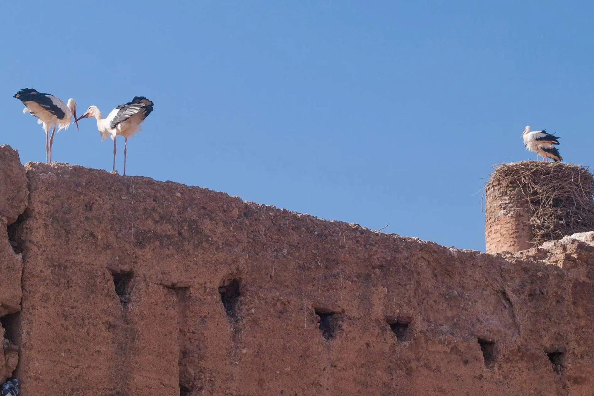 Natural landscape in Riad Of The Storks