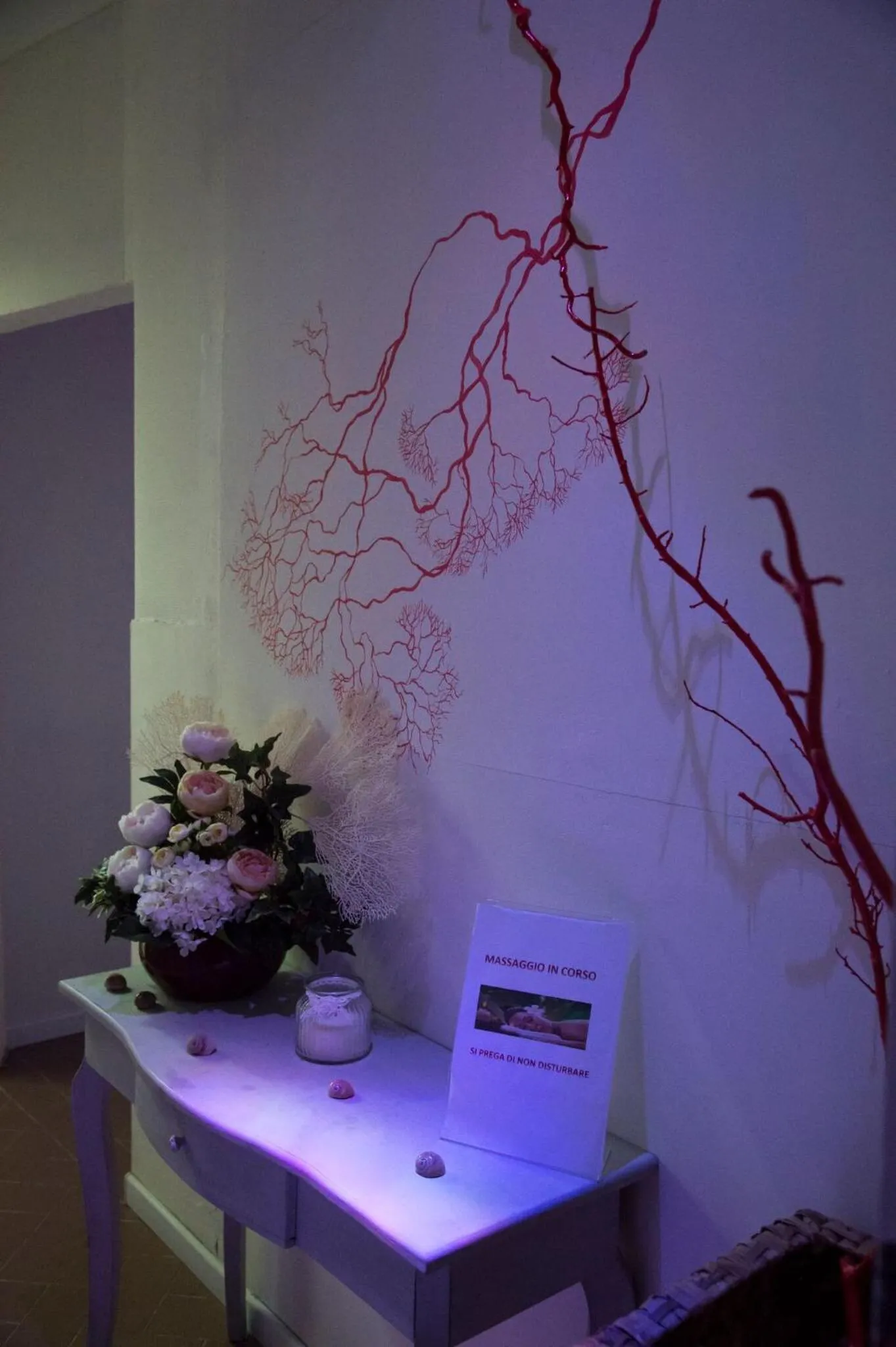 Spa and wellness centre/facilities in Hotel Palau