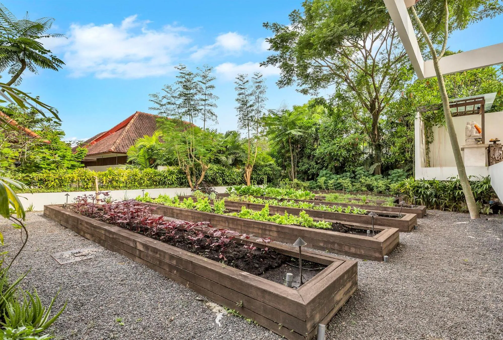 Garden in Bisma Eight Villas