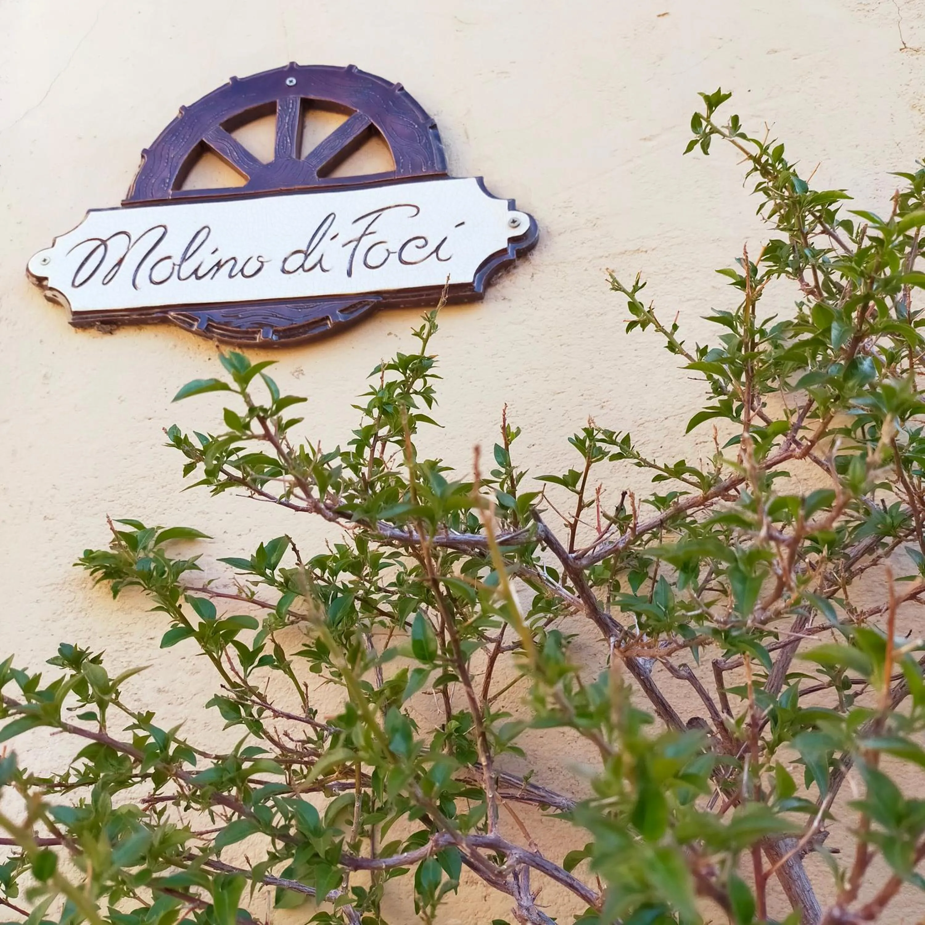 Property building in Molino Di Foci