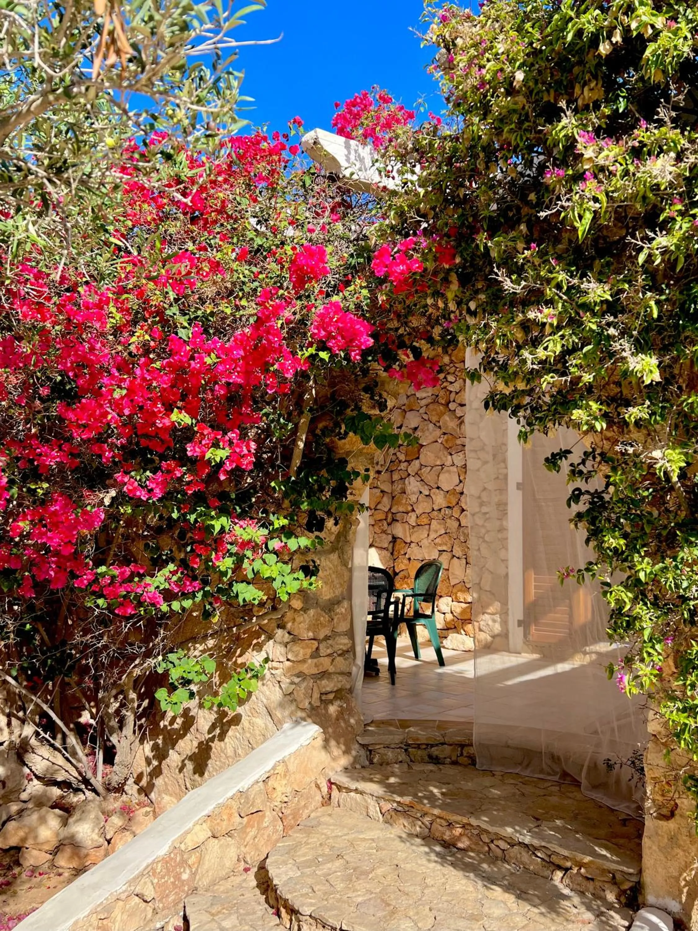 Garden view in Cupola Bianca Resort